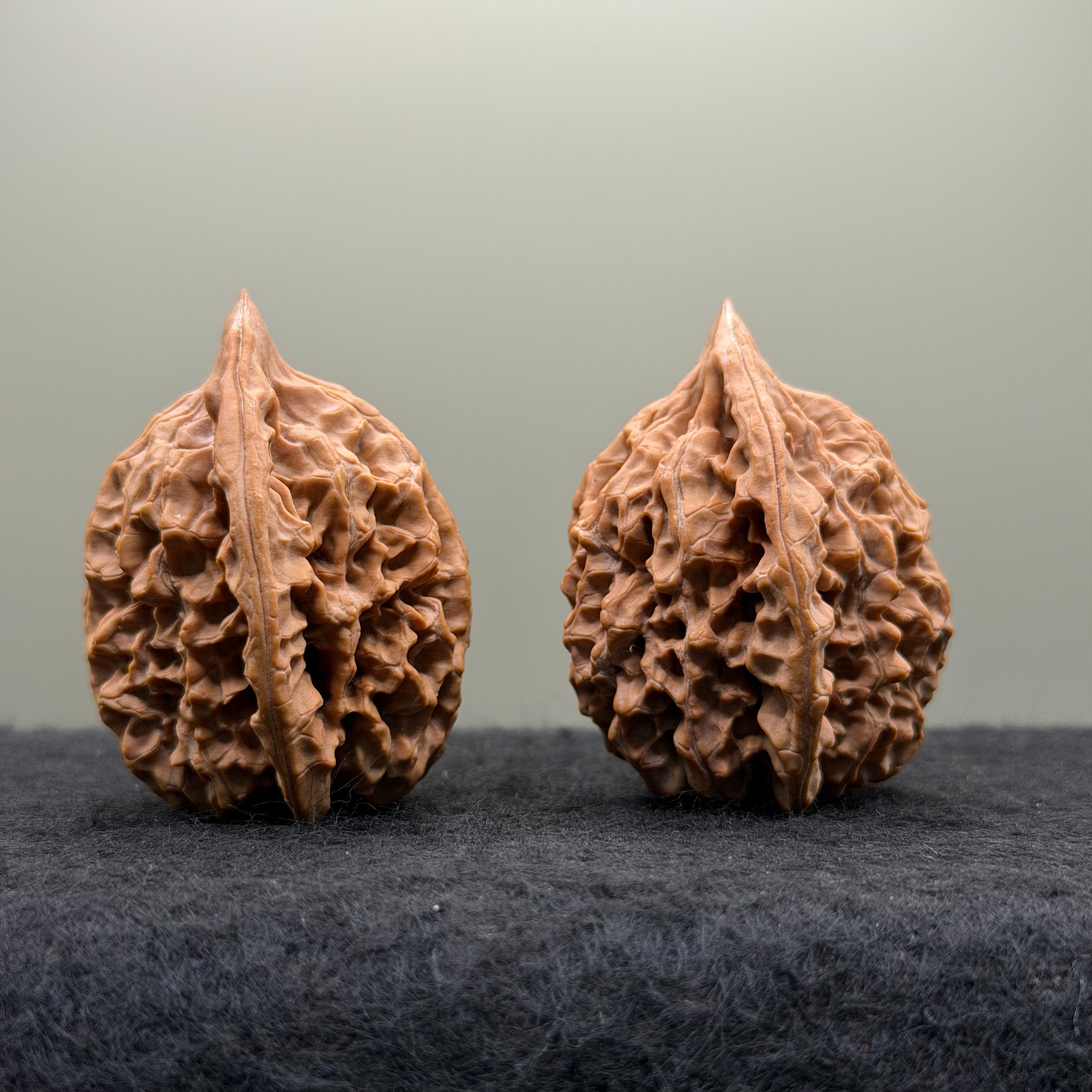 Chicken Heart Wenwan Walnut