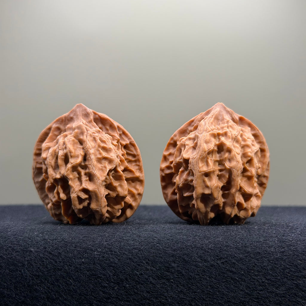 First Love Wenwan Walnut · 36mm · Natural · Entry Ritual