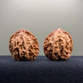 First Love Wenwan Walnut · 36mm · Natural · Entry Ritual