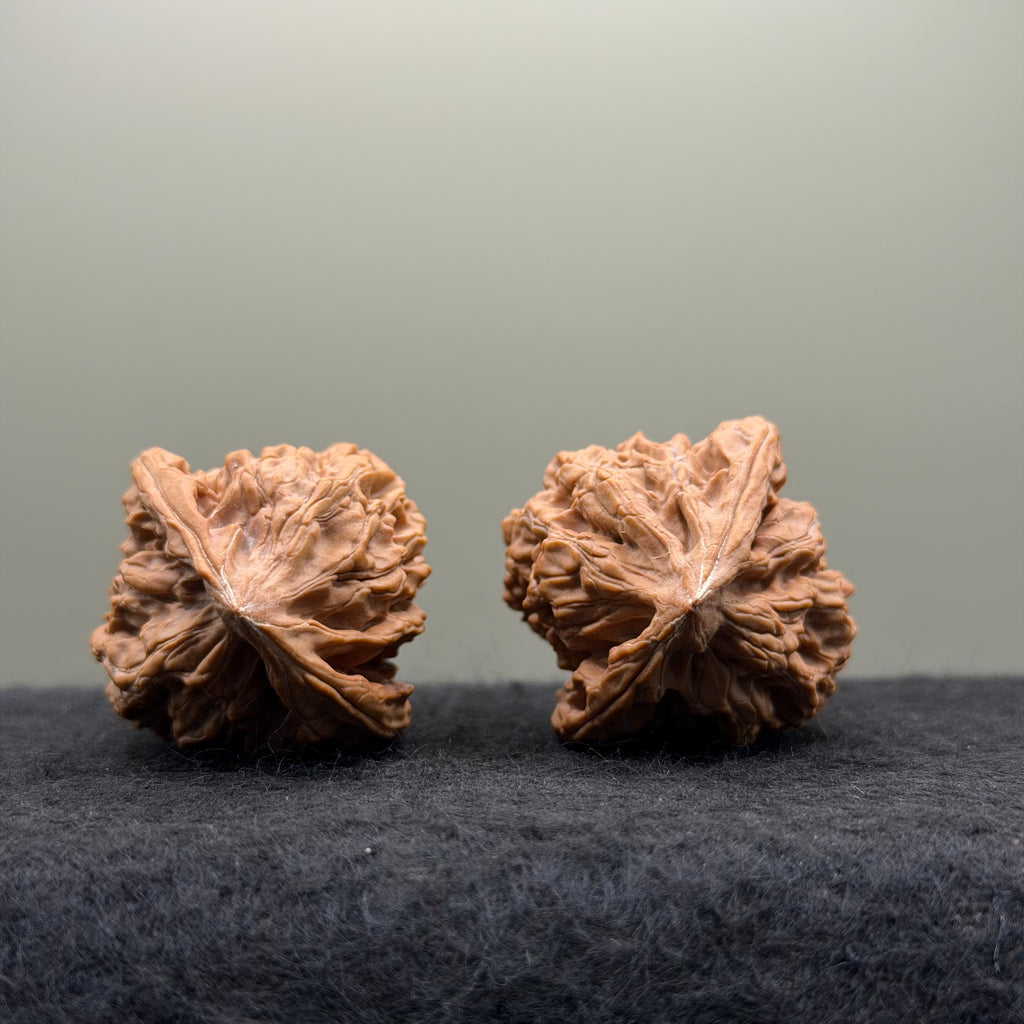 Chicken Heart Wenwan Walnut