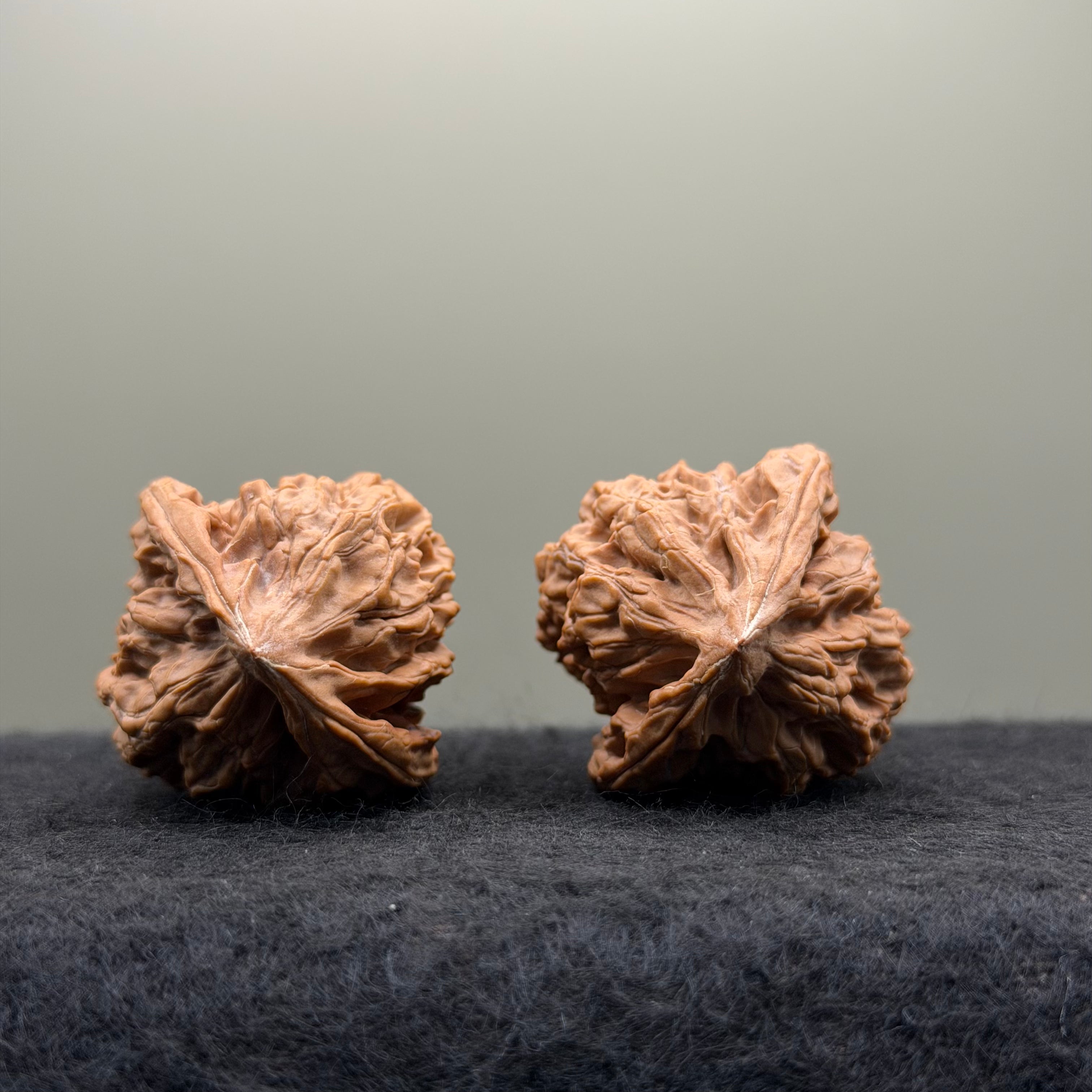 Chicken Heart Wenwan Walnut