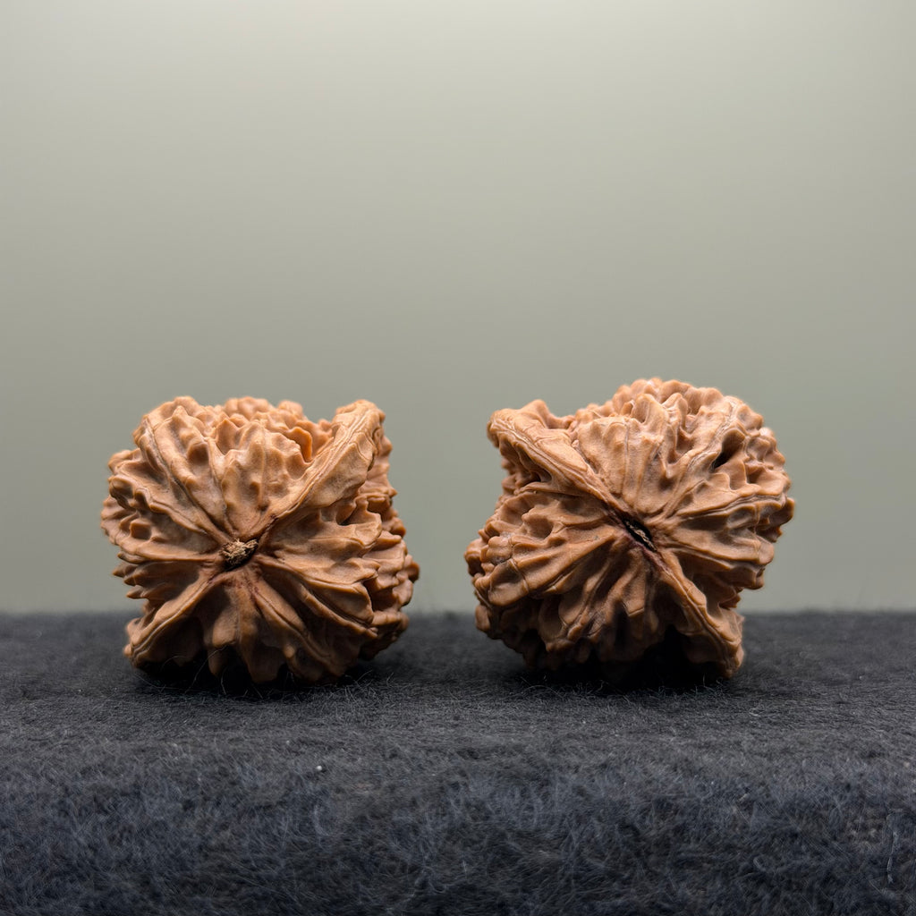 Chicken Heart Wenwan Walnut