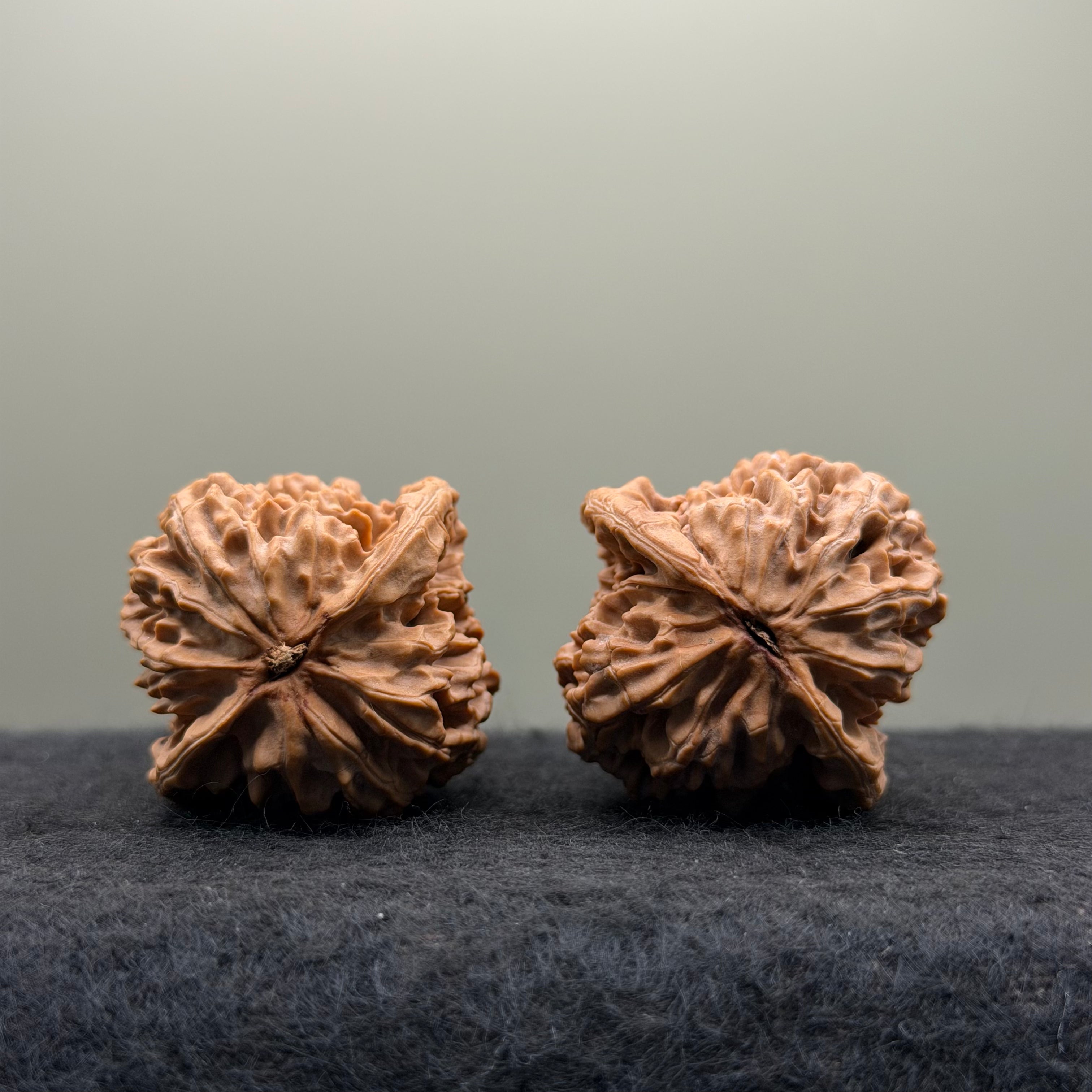 Chicken Heart Wenwan Walnut