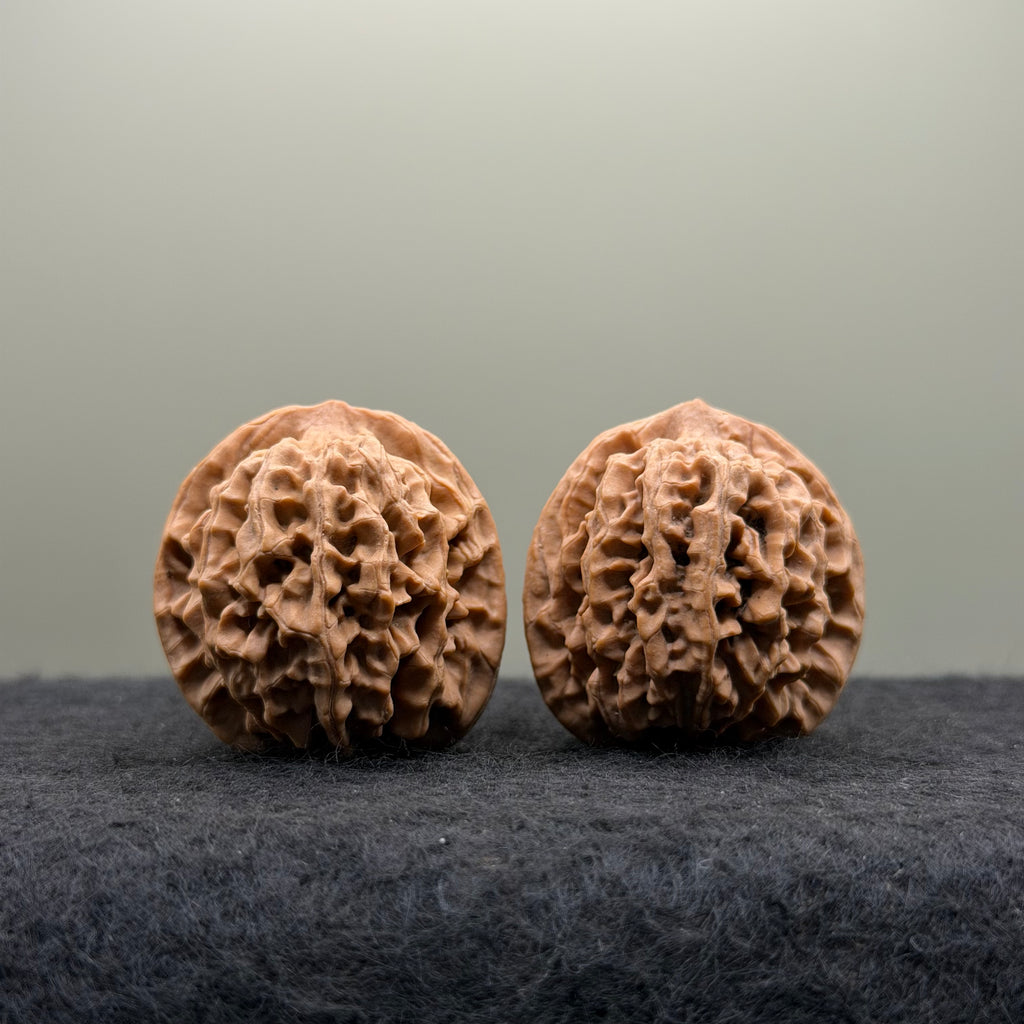 Qinmen (Mini) Lion Head Wenwan Walnut