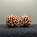 Qinmen (Mini) Lion Head Wenwan Walnut