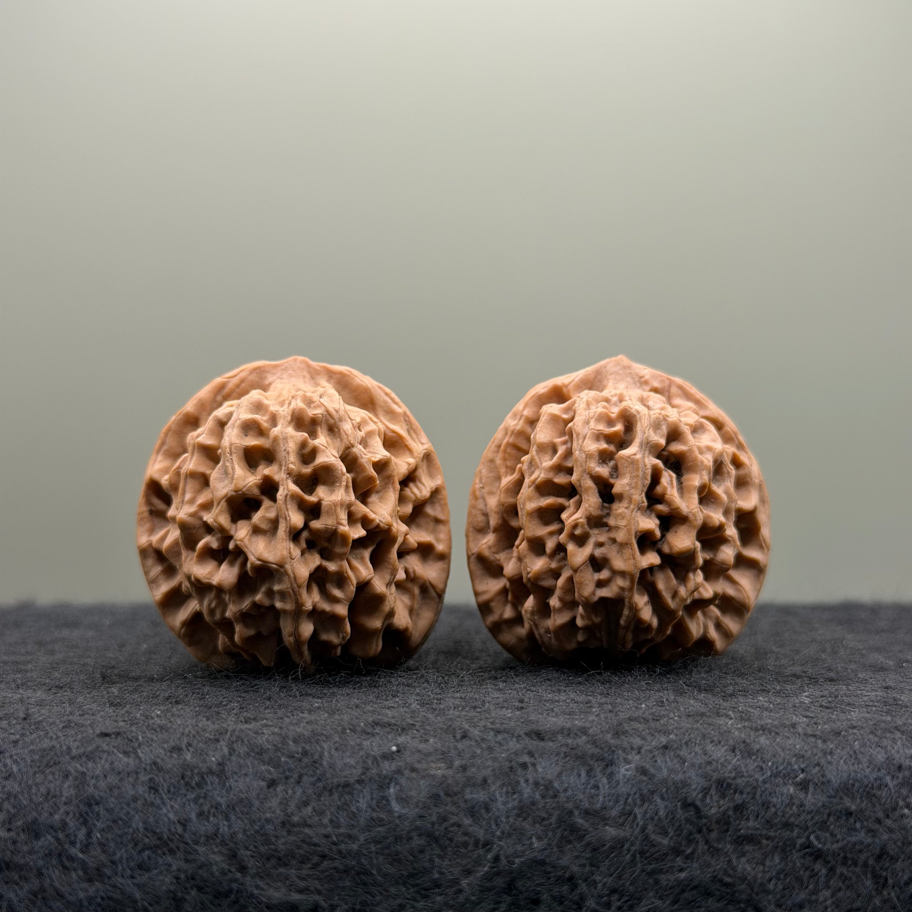Qinmen (Mini) Lion Head Wenwan Walnut