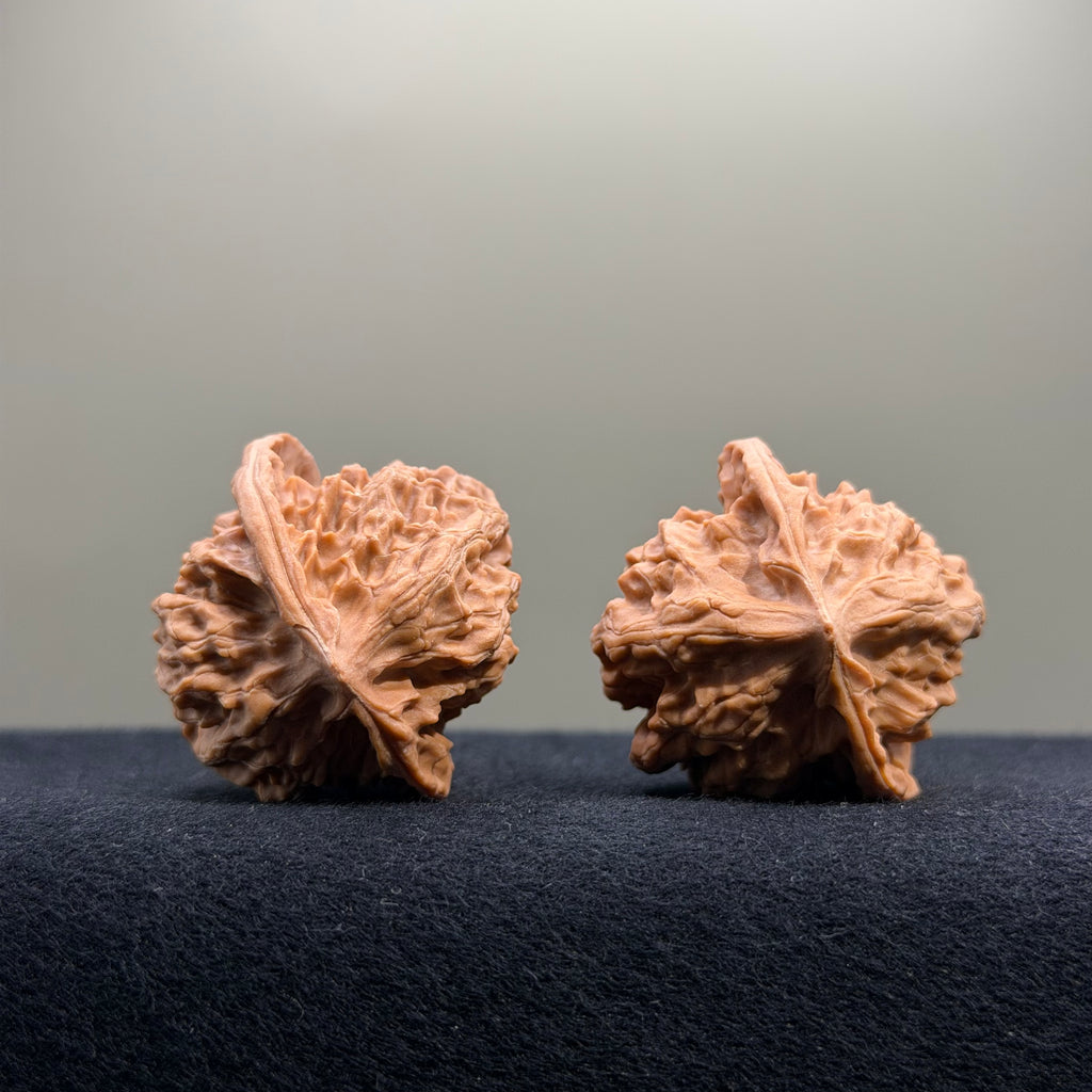 First Love Wenwan Walnut · 36mm · Natural · Entry Ritual