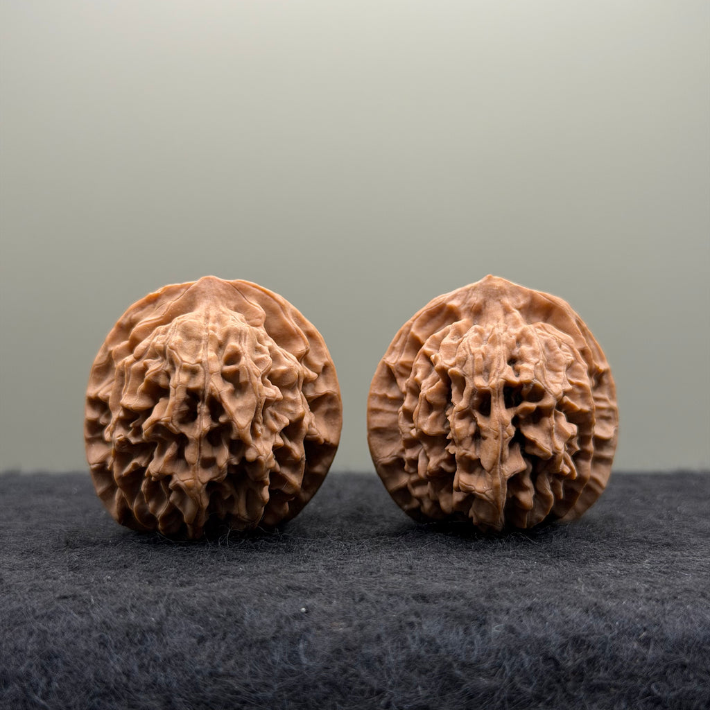 Qinmen (Mini) Lion Head Wenwan Walnut