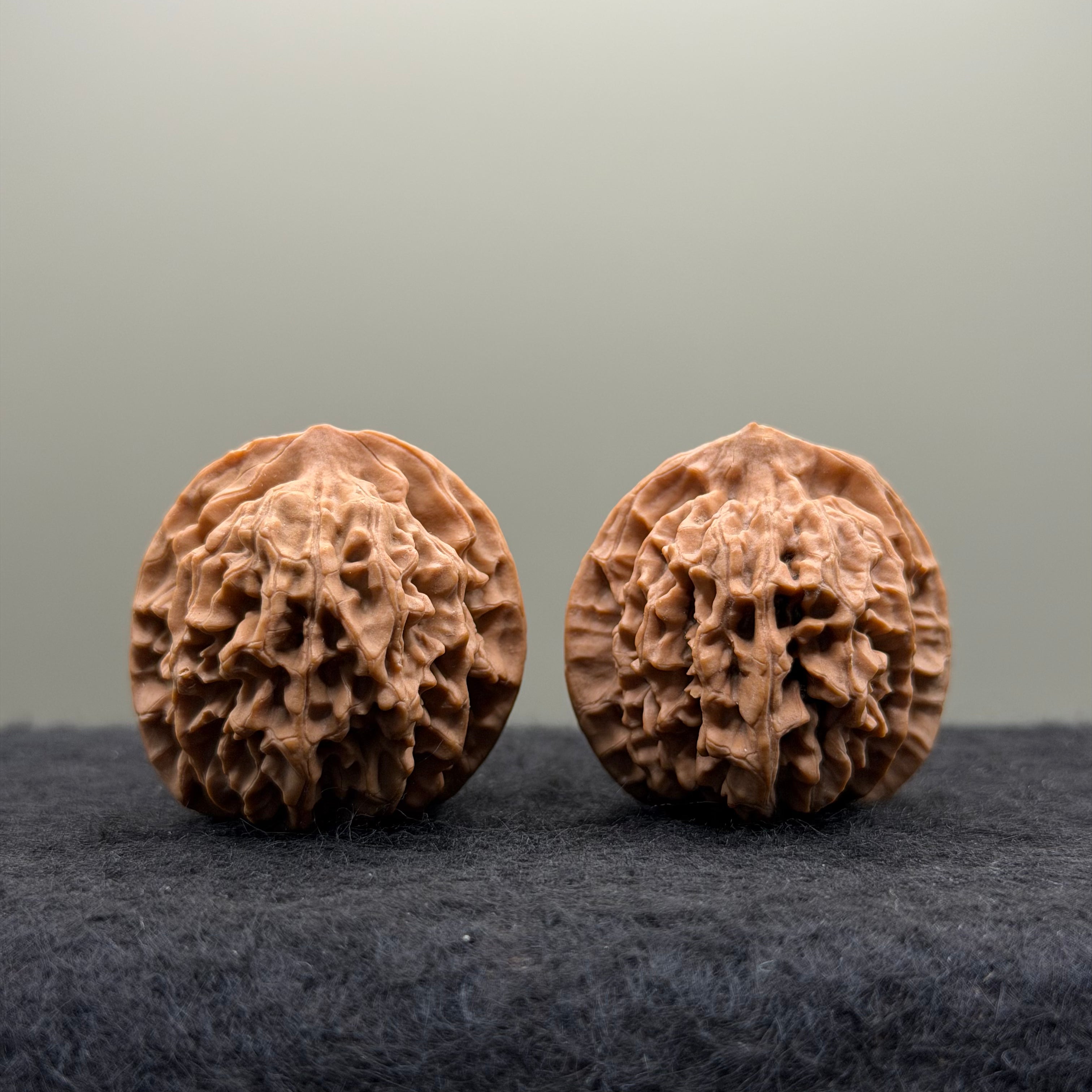 Qinmen (Mini) Lion Head Wenwan Walnut