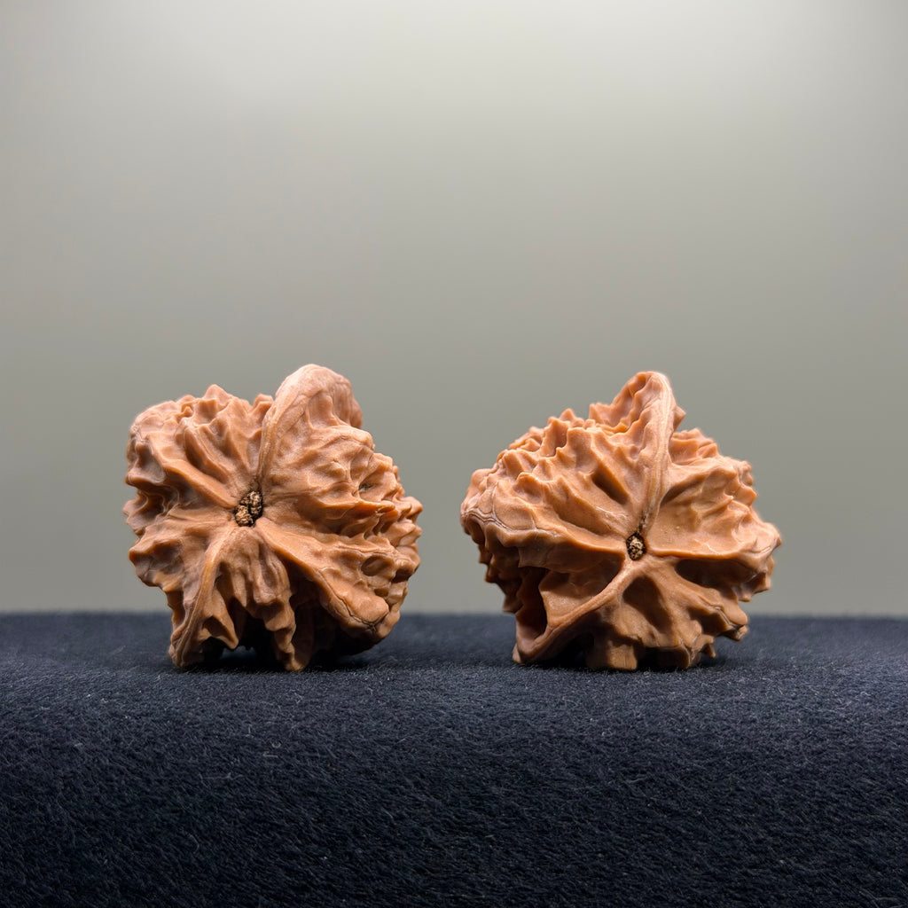 First Love Wenwan Walnut · 36mm · Natural · Entry Ritual