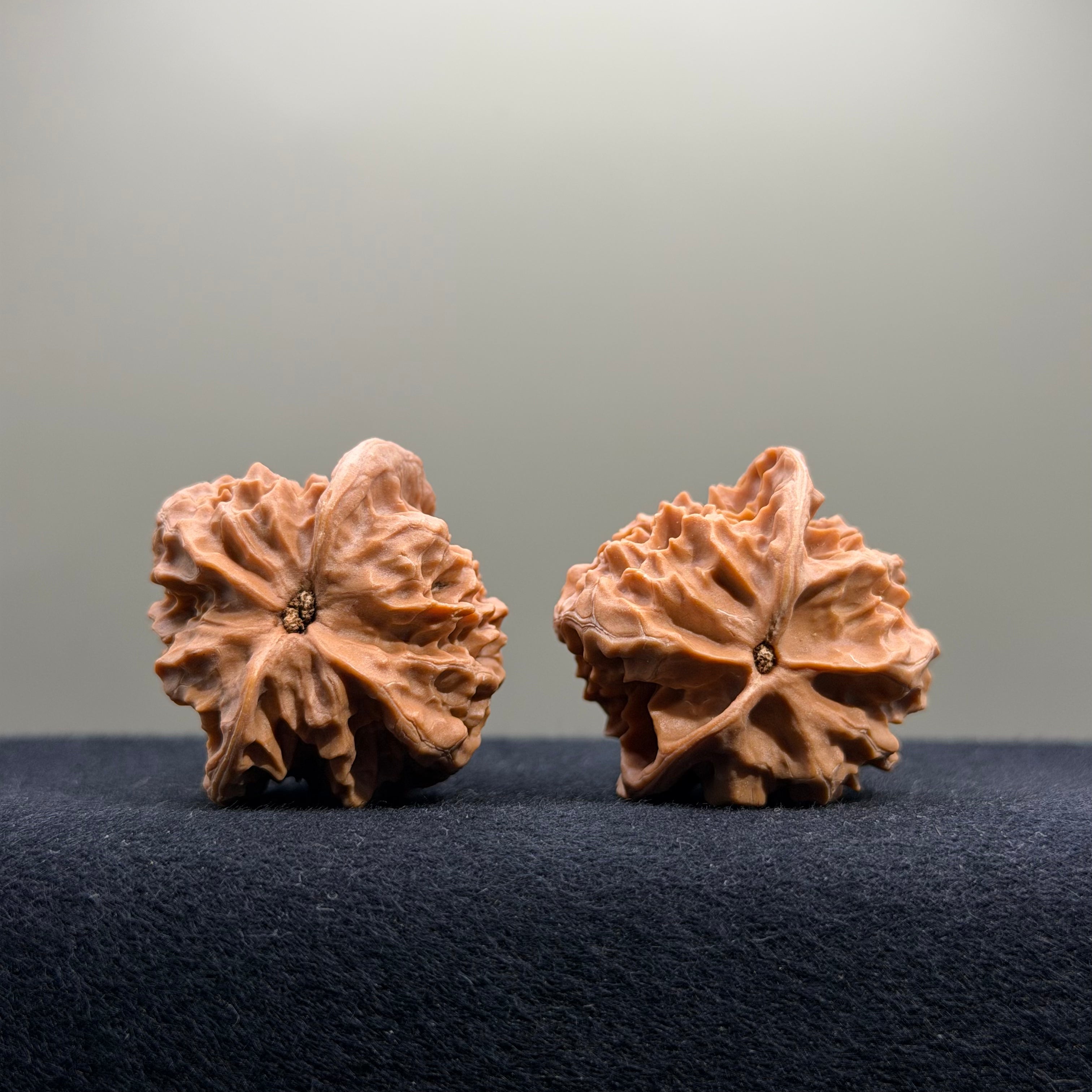 First Love Wenwan Walnut · 36mm · Natural · Entry Ritual