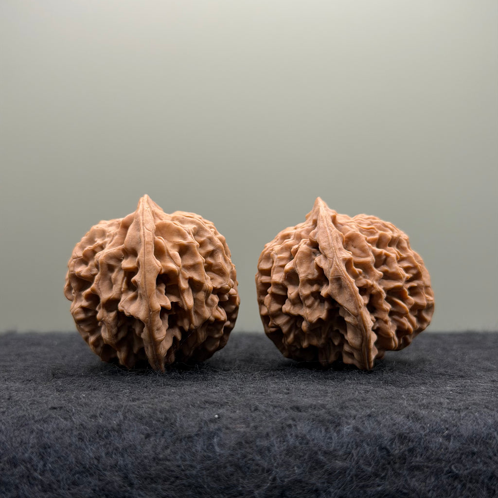 Qinmen (Mini) Lion Head Wenwan Walnut
