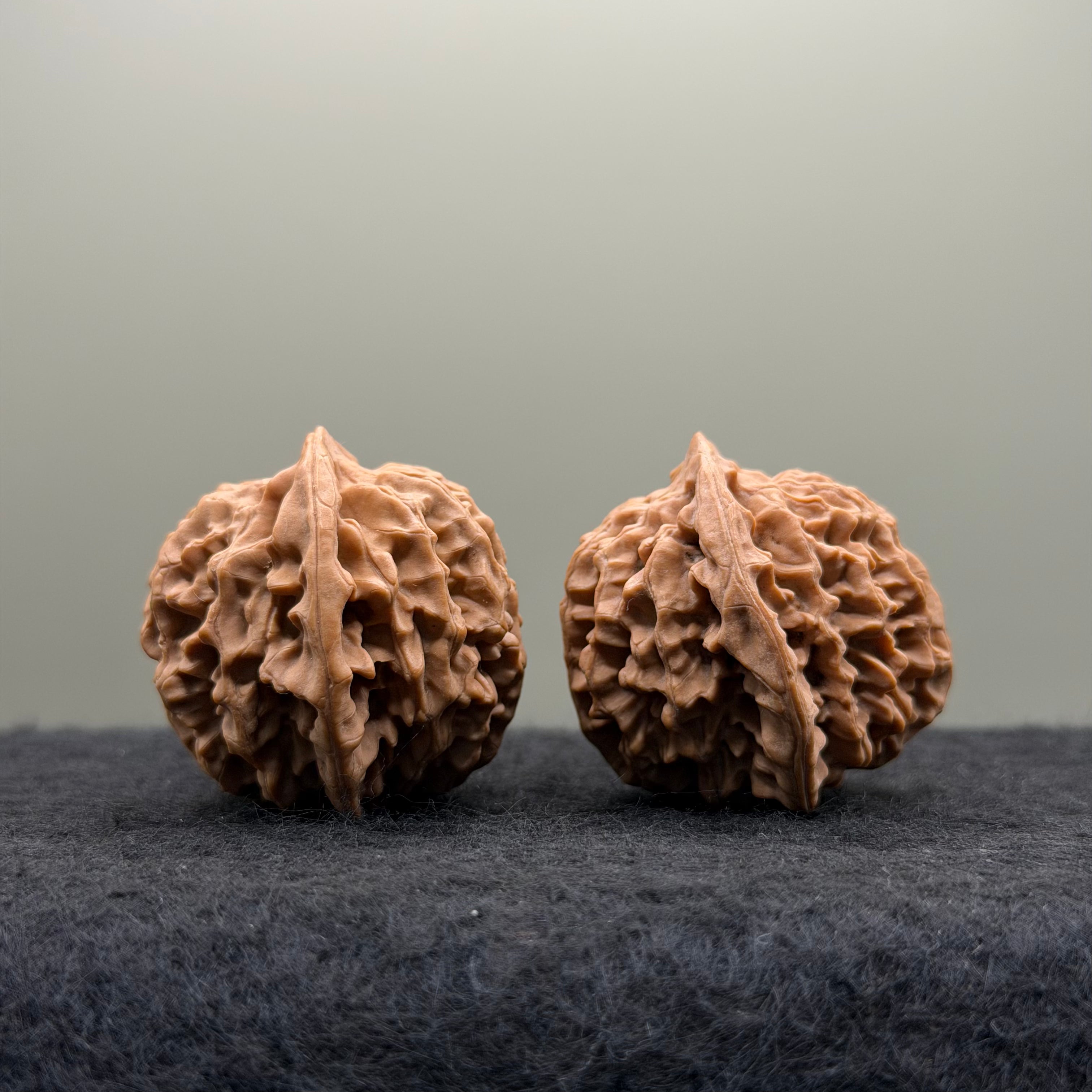 Qinmen (Mini) Lion Head Wenwan Walnut