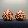 First Love Wenwan Walnut · 40mm · Natural · Select Ritual