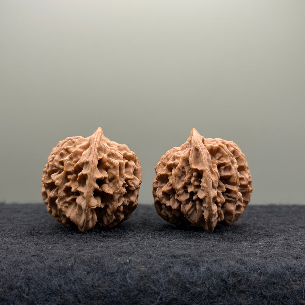 Qinmen (Mini) Lion Head Wenwan Walnut