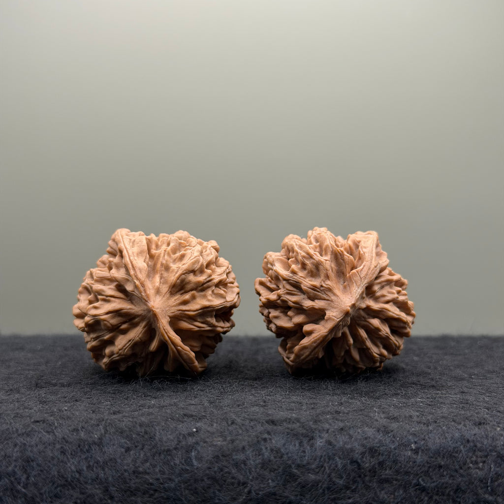 Qinmen (Mini) Lion Head Wenwan Walnut