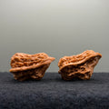 Bird Wenwan Walnut