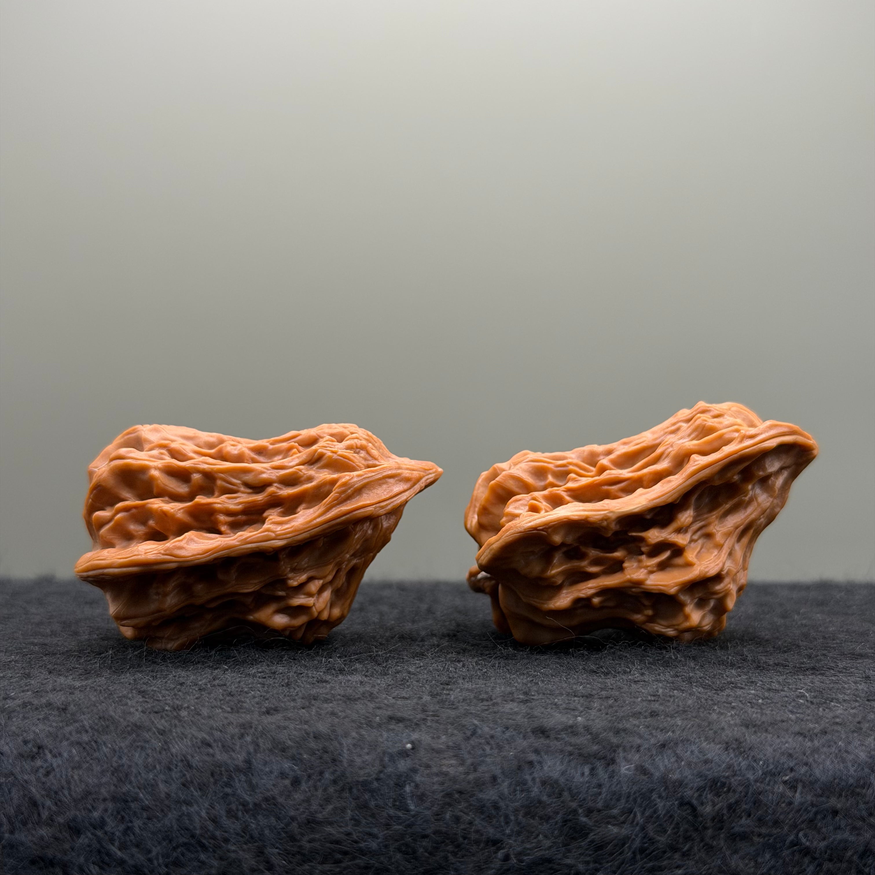Bird Wenwan Walnut