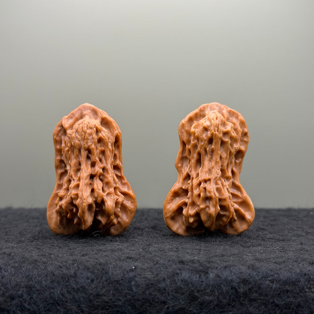 Bird Wenwan Walnut
