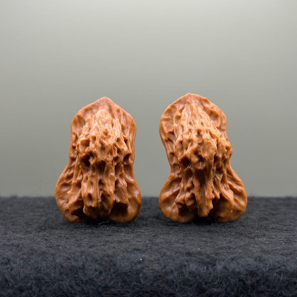Bird Wenwan Walnut
