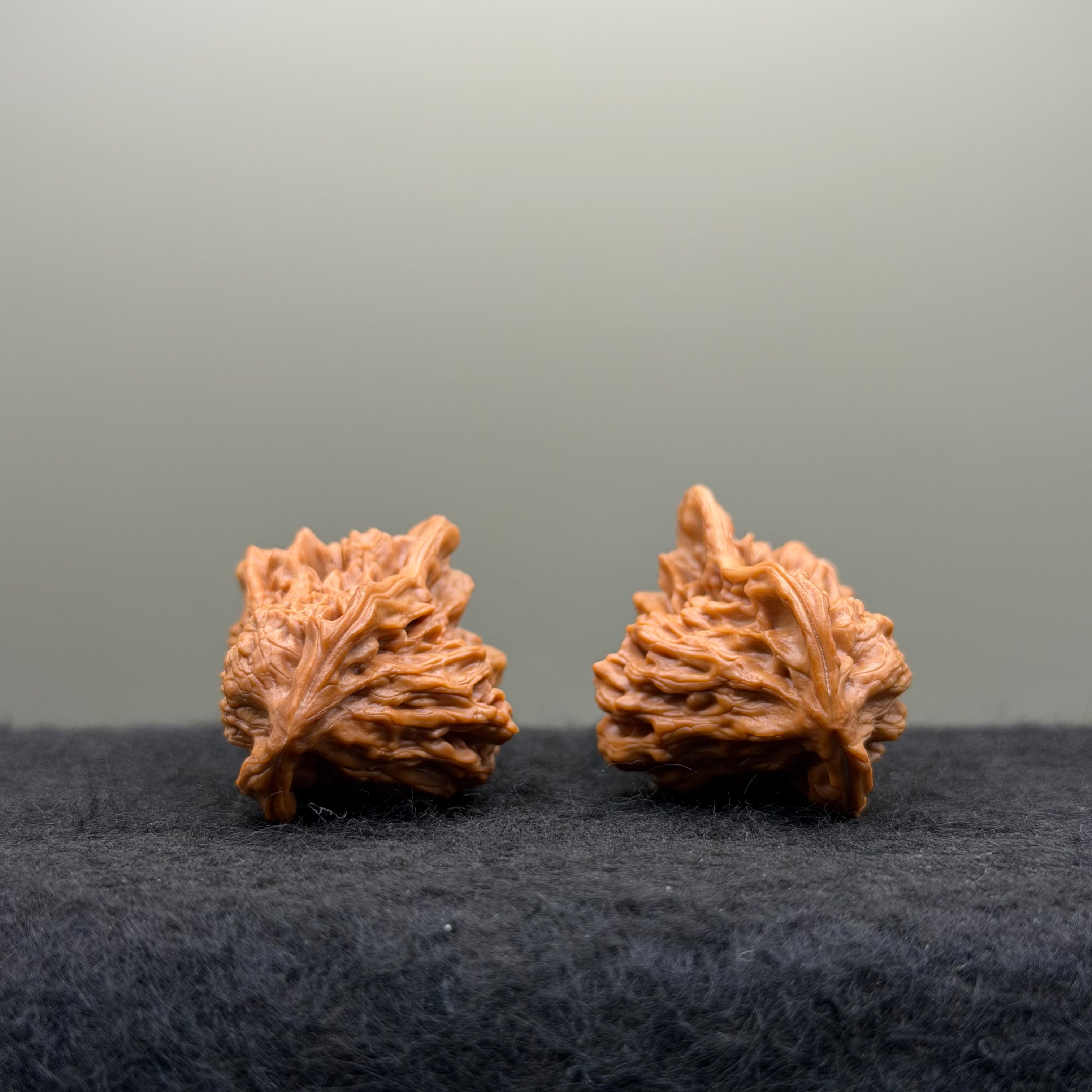 Bird Wenwan Walnut