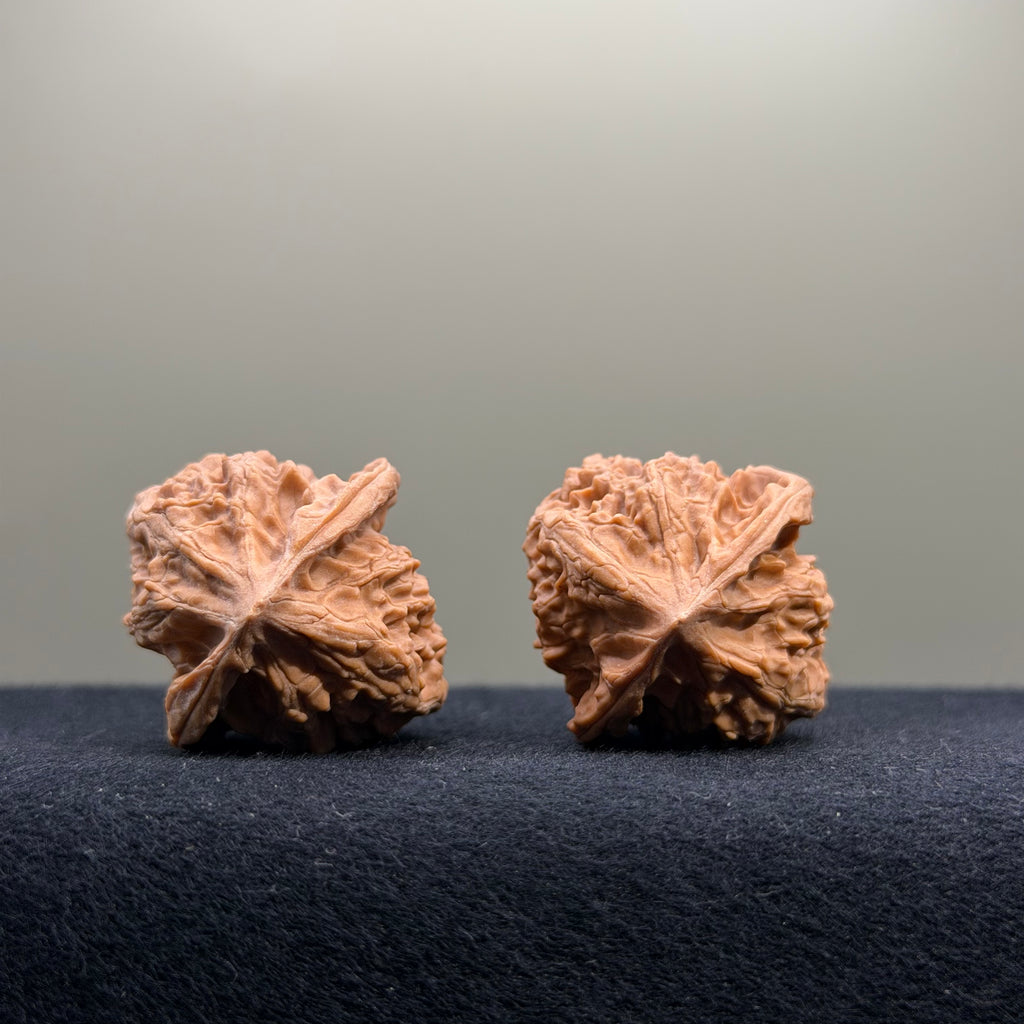 First Love Wenwan Walnut · 33mm · Natural · Entry Ritual