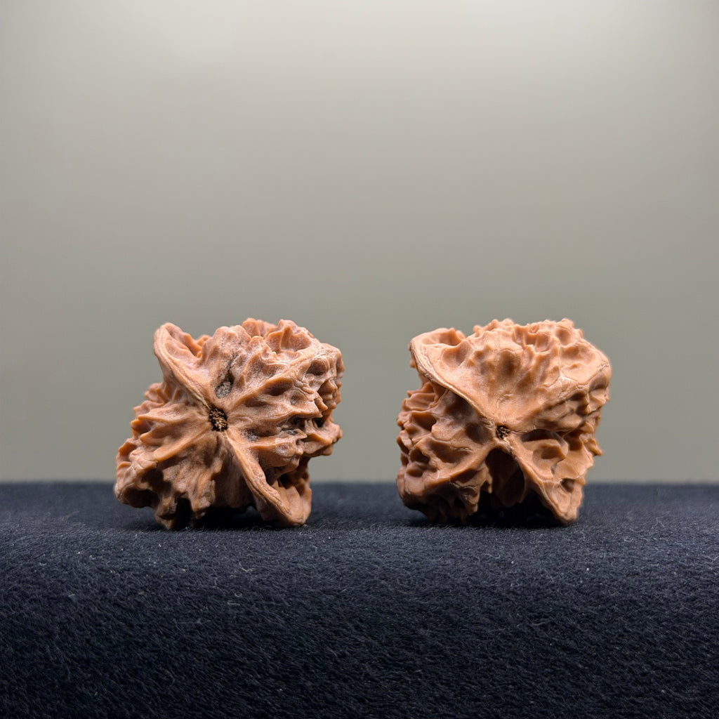 First Love Wenwan Walnut · 33mm · Natural · Entry Ritual