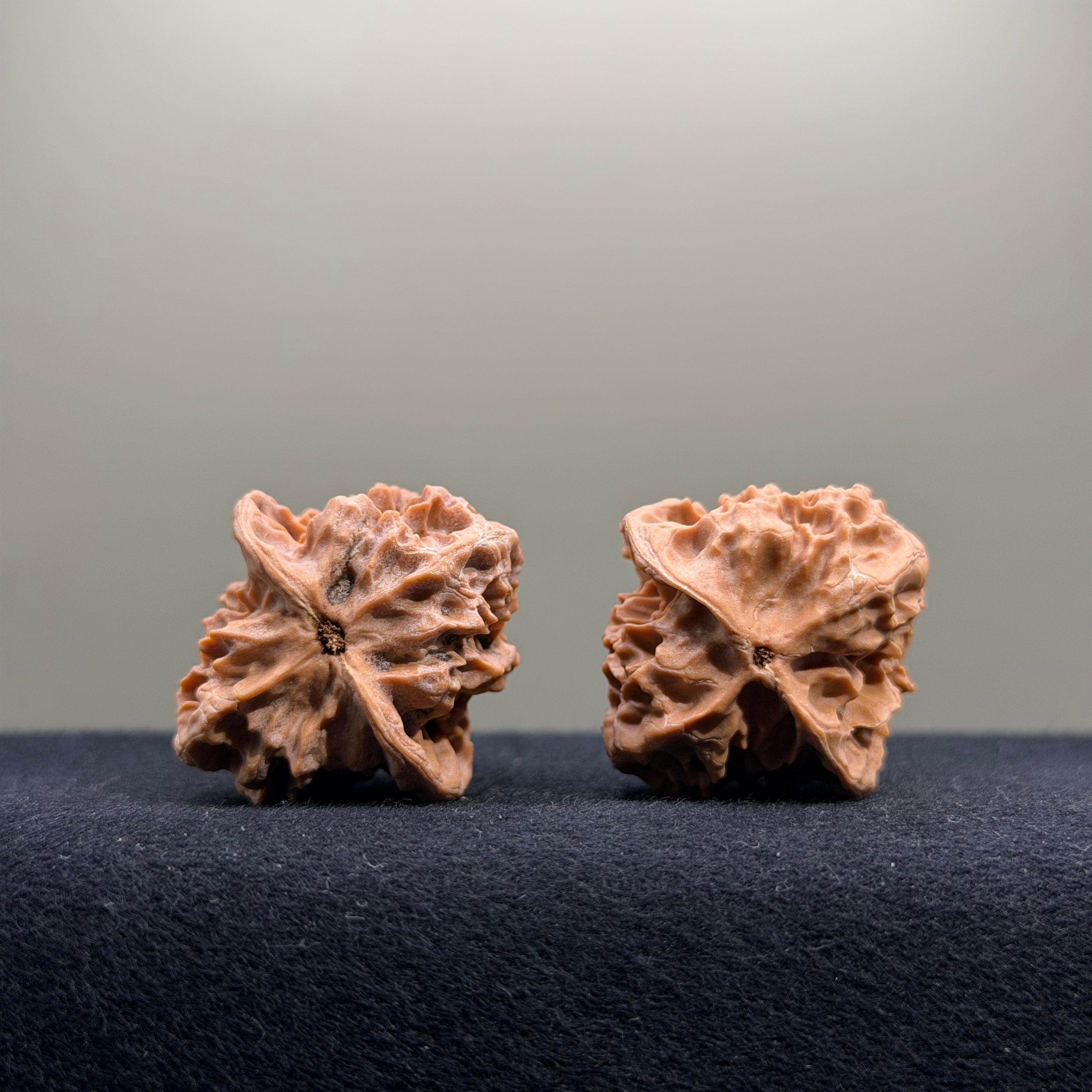 First Love Wenwan Walnut · 33mm · Natural · Entry Ritual