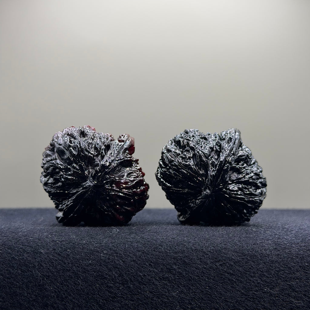 Ghost Rider · White Lion Ground Buried Wenwan Walnut · 37mm · Select Ritual