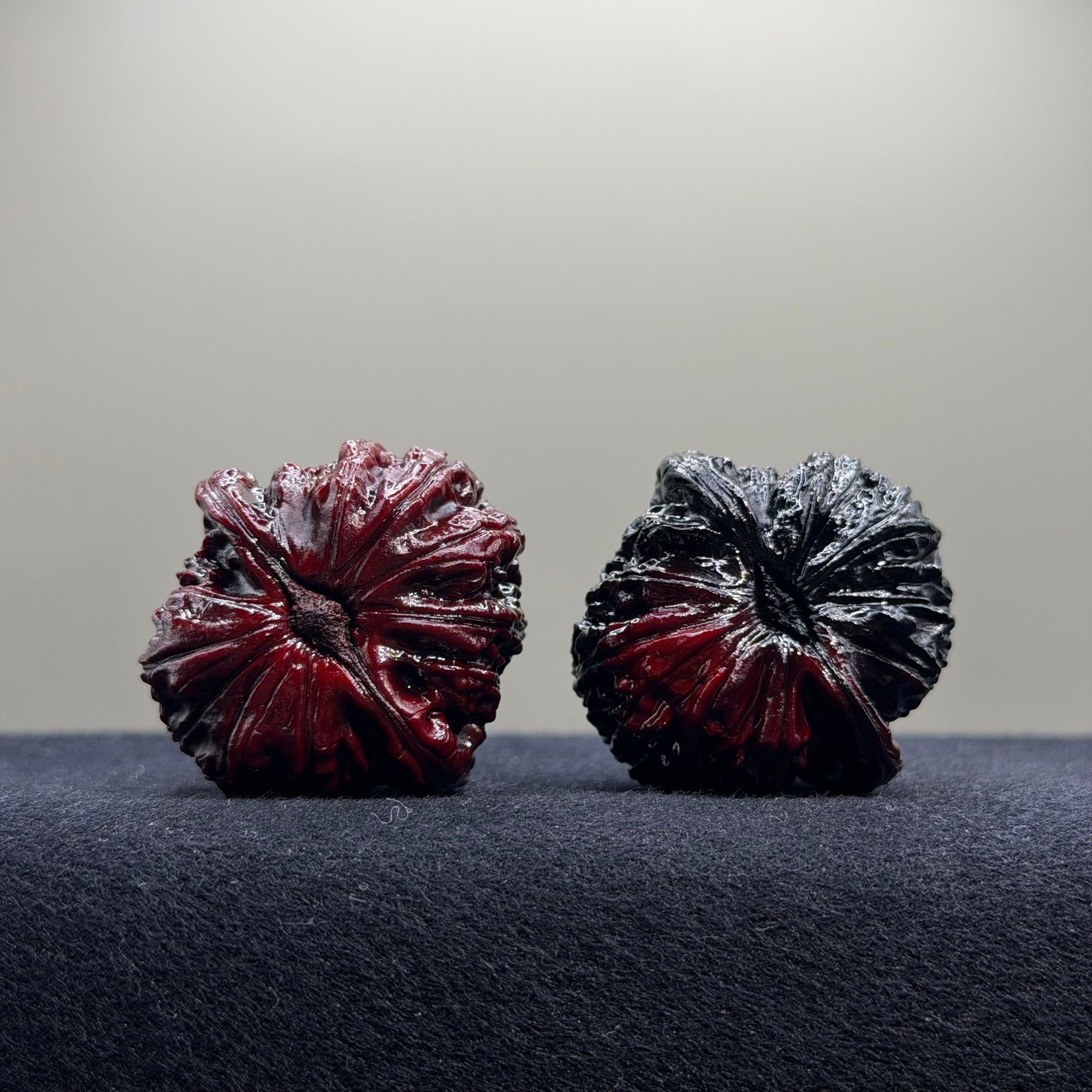 Ghost Rider · White Lion Ground Buried Wenwan Walnut · 37mm · Select Ritual