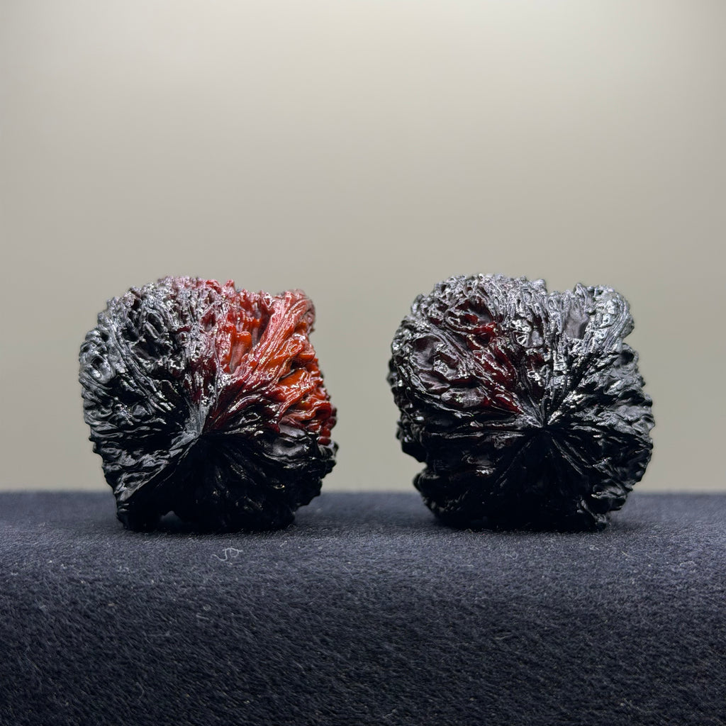 Ghost Rider · Nanjiang Ground Buried Wenwan Walnut · 41mm · Select Ritual