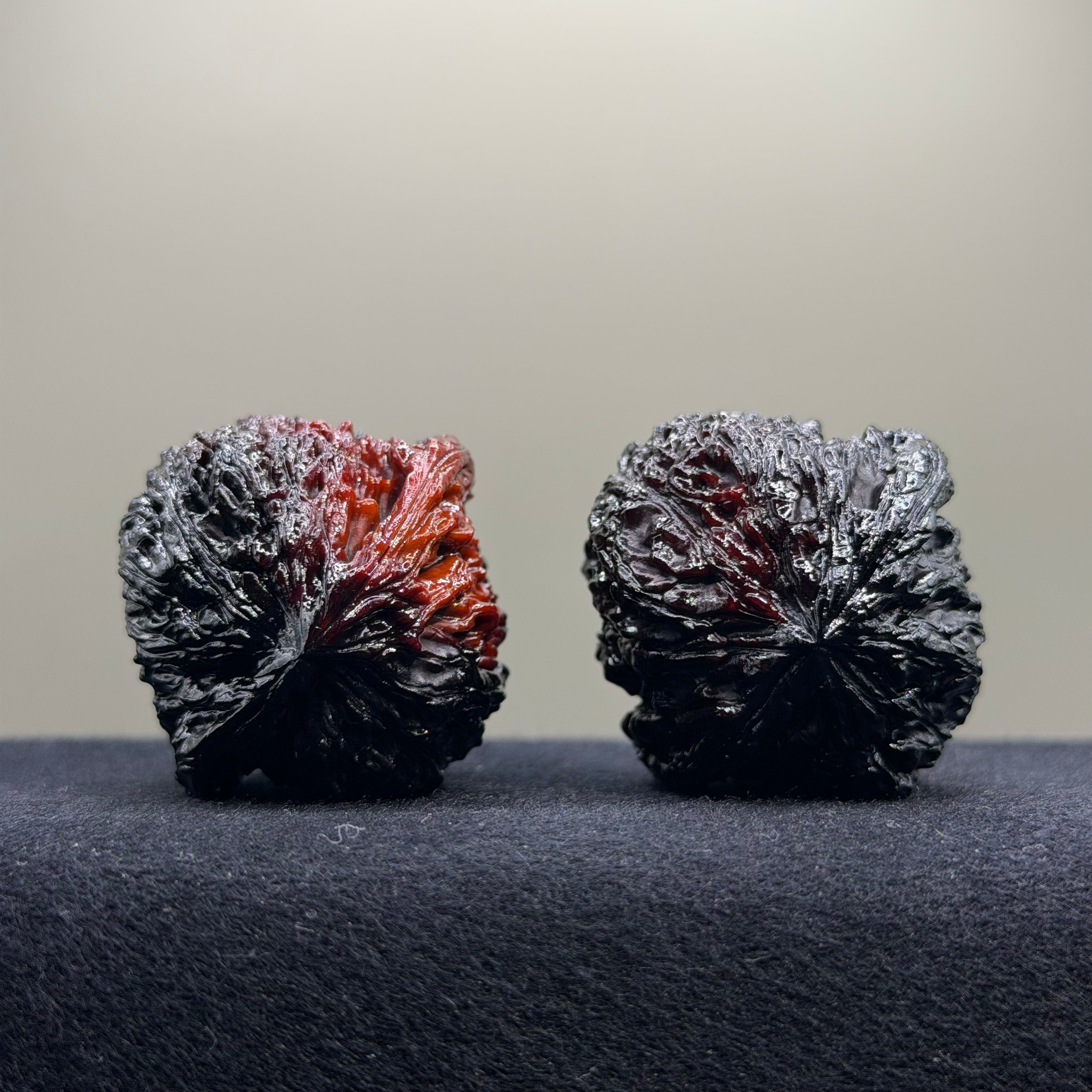 Ghost Rider · Nanjiang Ground Buried Wenwan Walnut · 41mm · Select Ritual