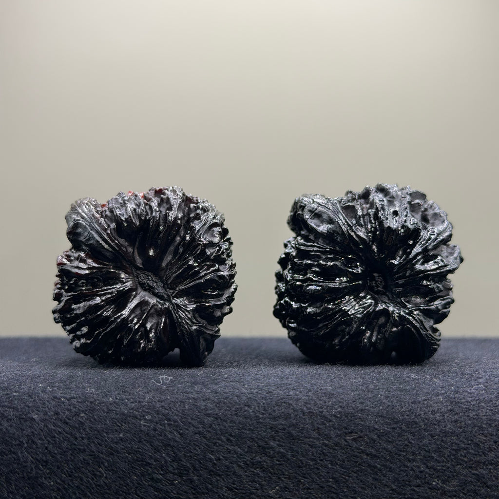 Ghost Rider · Nanjiang Ground Buried Wenwan Walnut · 41mm · Select Ritual