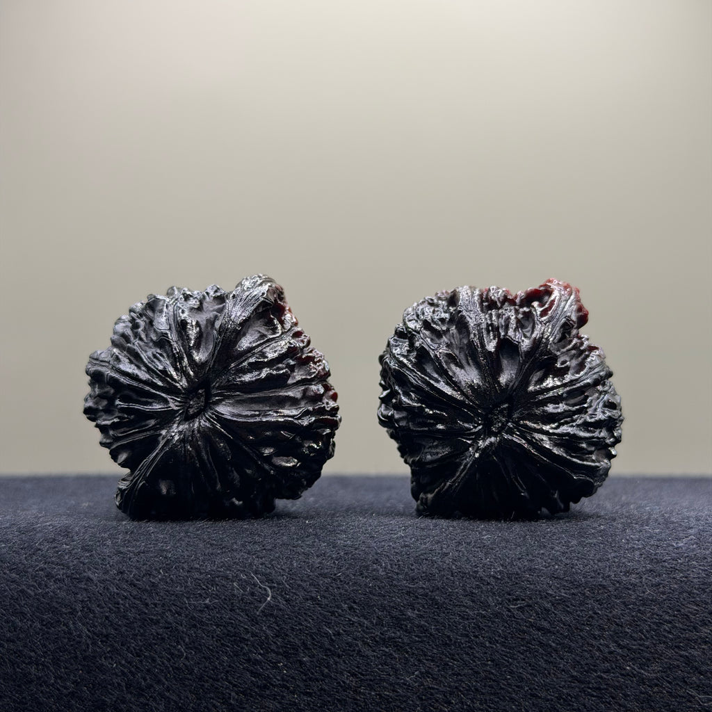 Ghost Rider · Millstone Ground Buried Wenwan Walnut · 38mm · Select Ritual