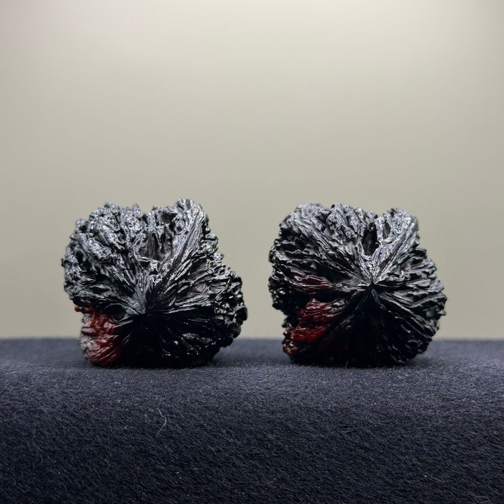 Ghost Rider · Nanjiang  Ground Buried Wenwan Walnut · 39mm · Select Ritual