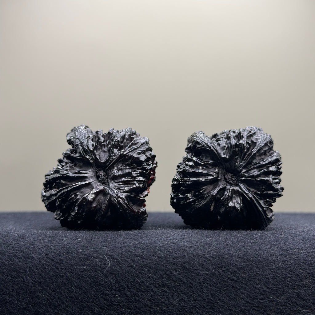 Ghost Rider · Nanjiang  Ground Buried Wenwan Walnut · 39mm · Select Ritual