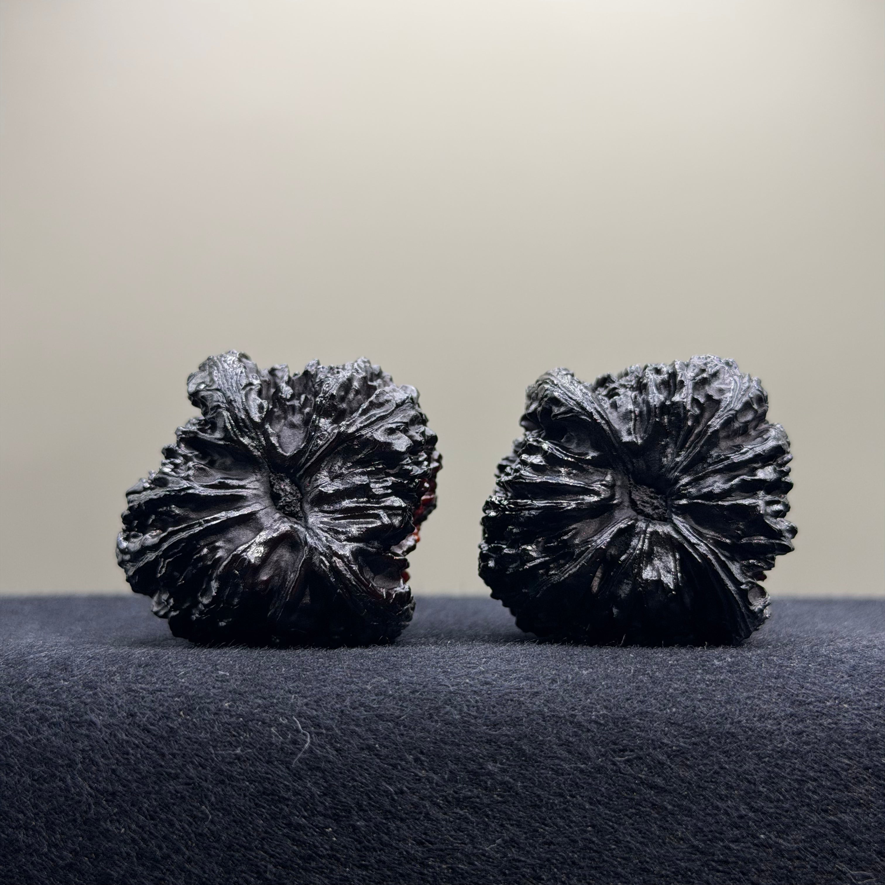 Ghost Rider · Nanjiang  Ground Buried Wenwan Walnut · 39mm · Select Ritual