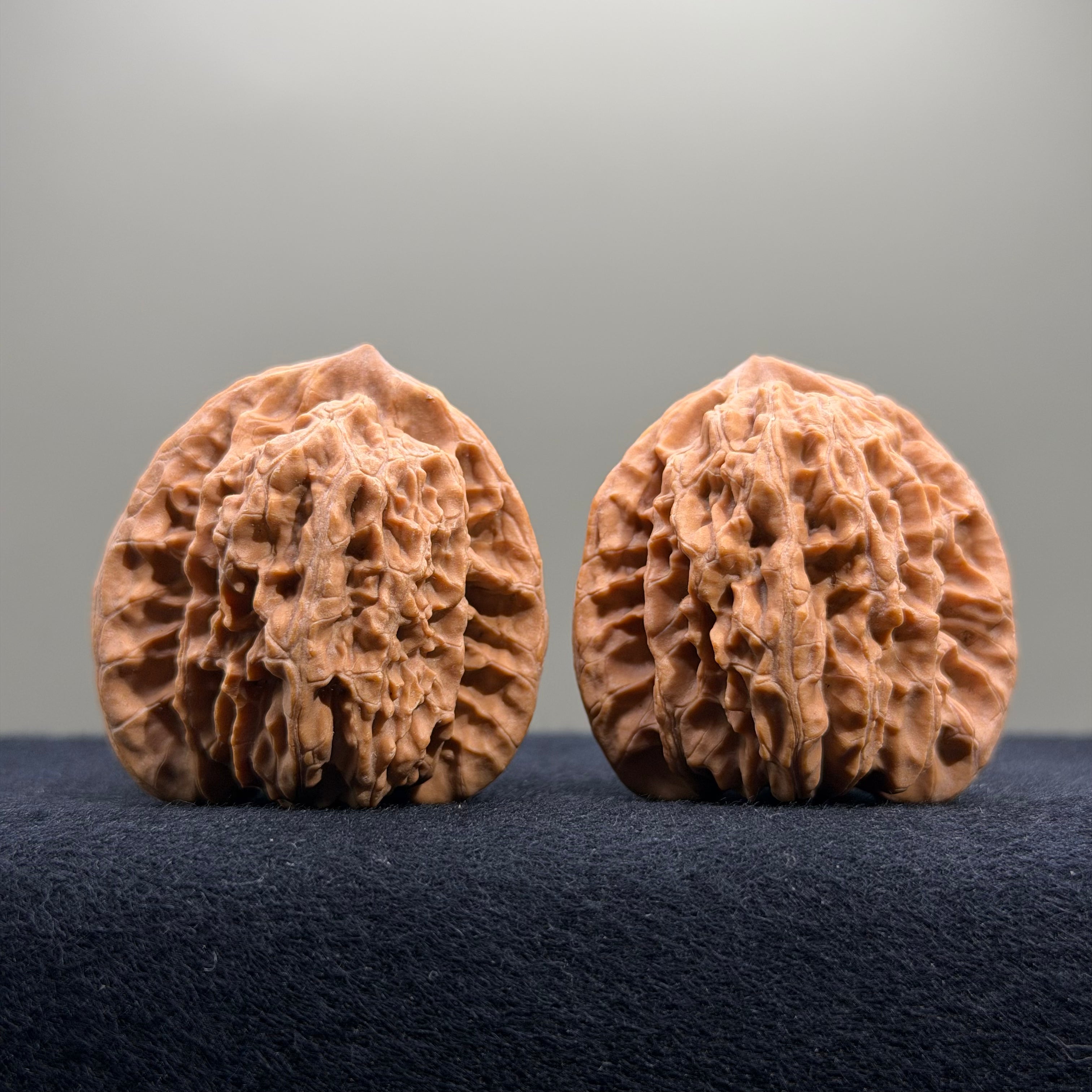 Coiled Dragon Tiger Head Wenwan Walnut · 39mm · Natural · Entry Ritual