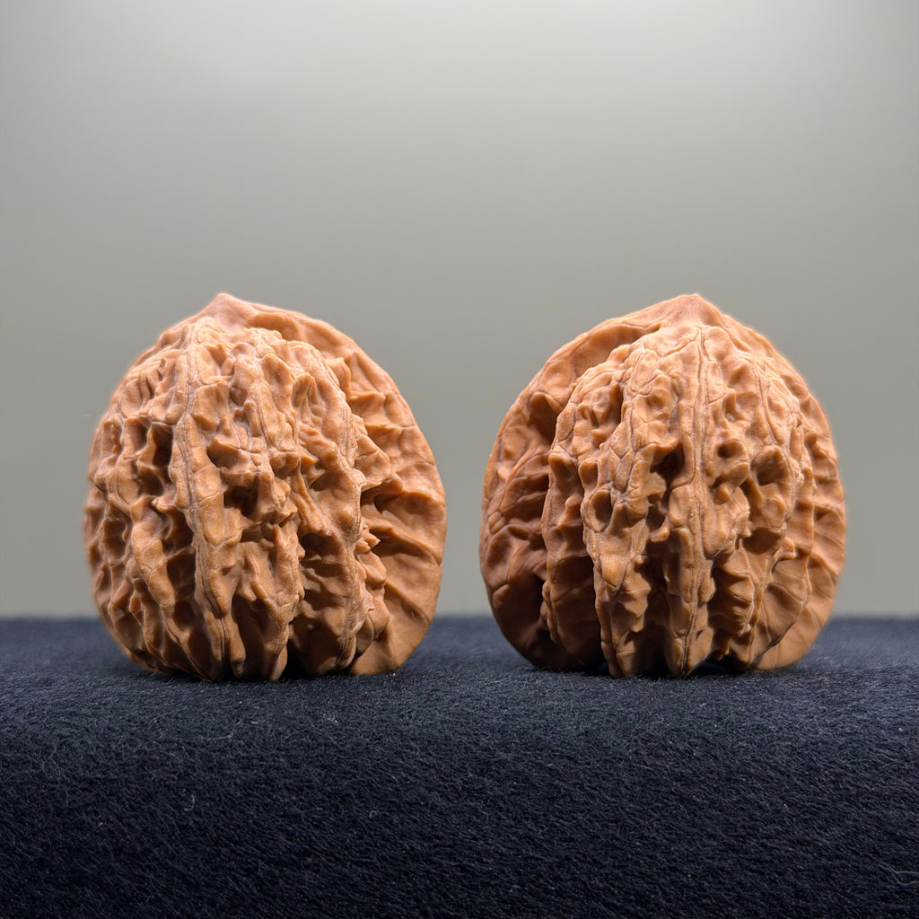 Coiled Dragon Tiger Head Wenwan Walnut · 39mm · Natural · Entry Ritual