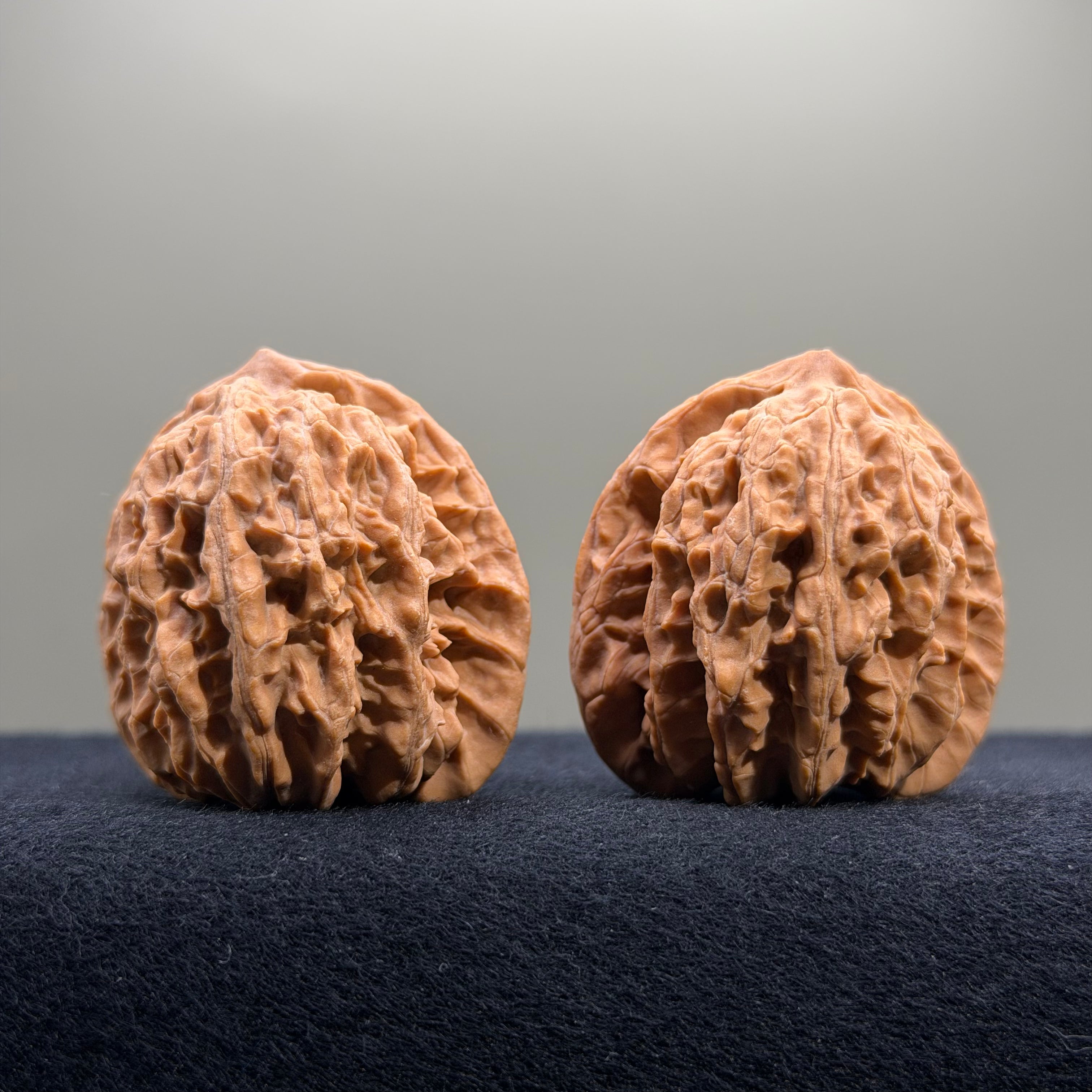 Coiled Dragon Tiger Head Wenwan Walnut · 39mm · Natural · Entry Ritual