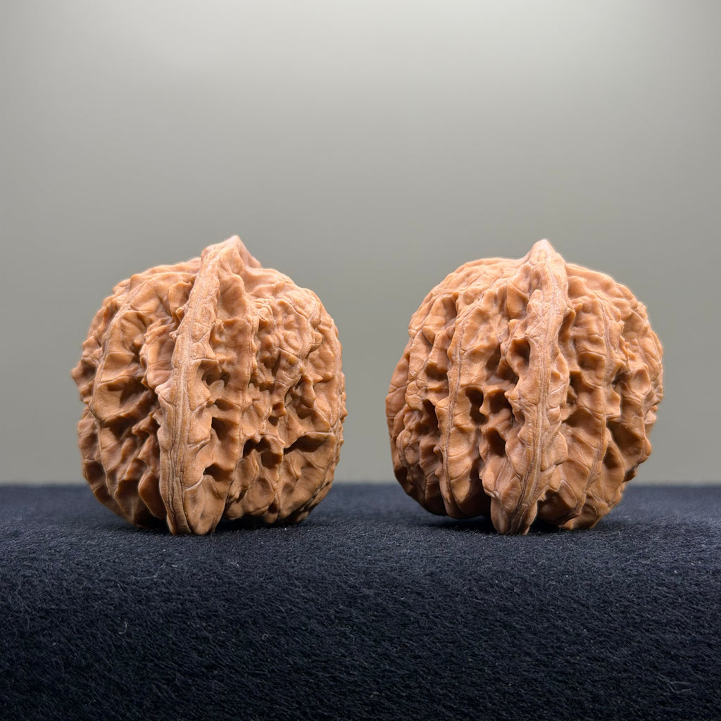 Coiled Dragon Tiger Head Wenwan Walnut · 39mm · Natural · Entry Ritual