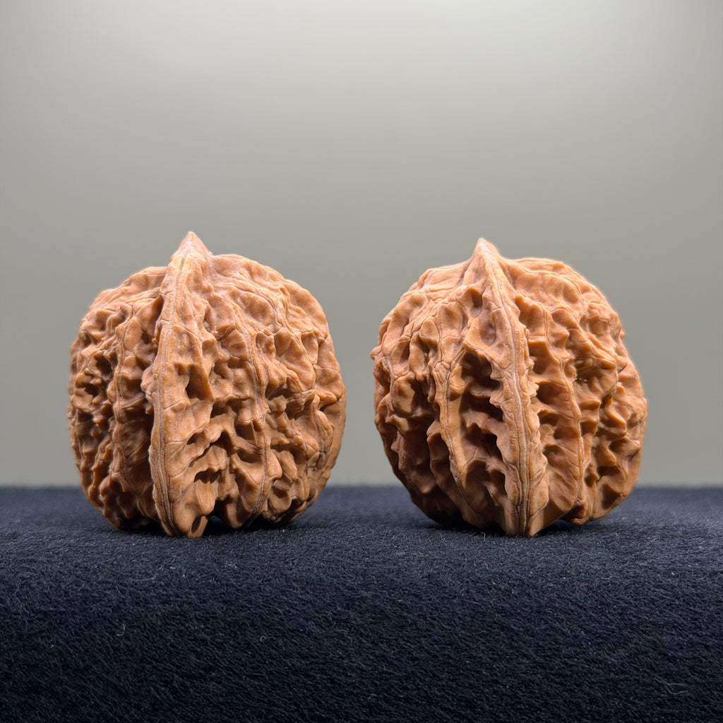 Coiled Dragon Tiger Head Wenwan Walnut · 39mm · Natural · Entry Ritual