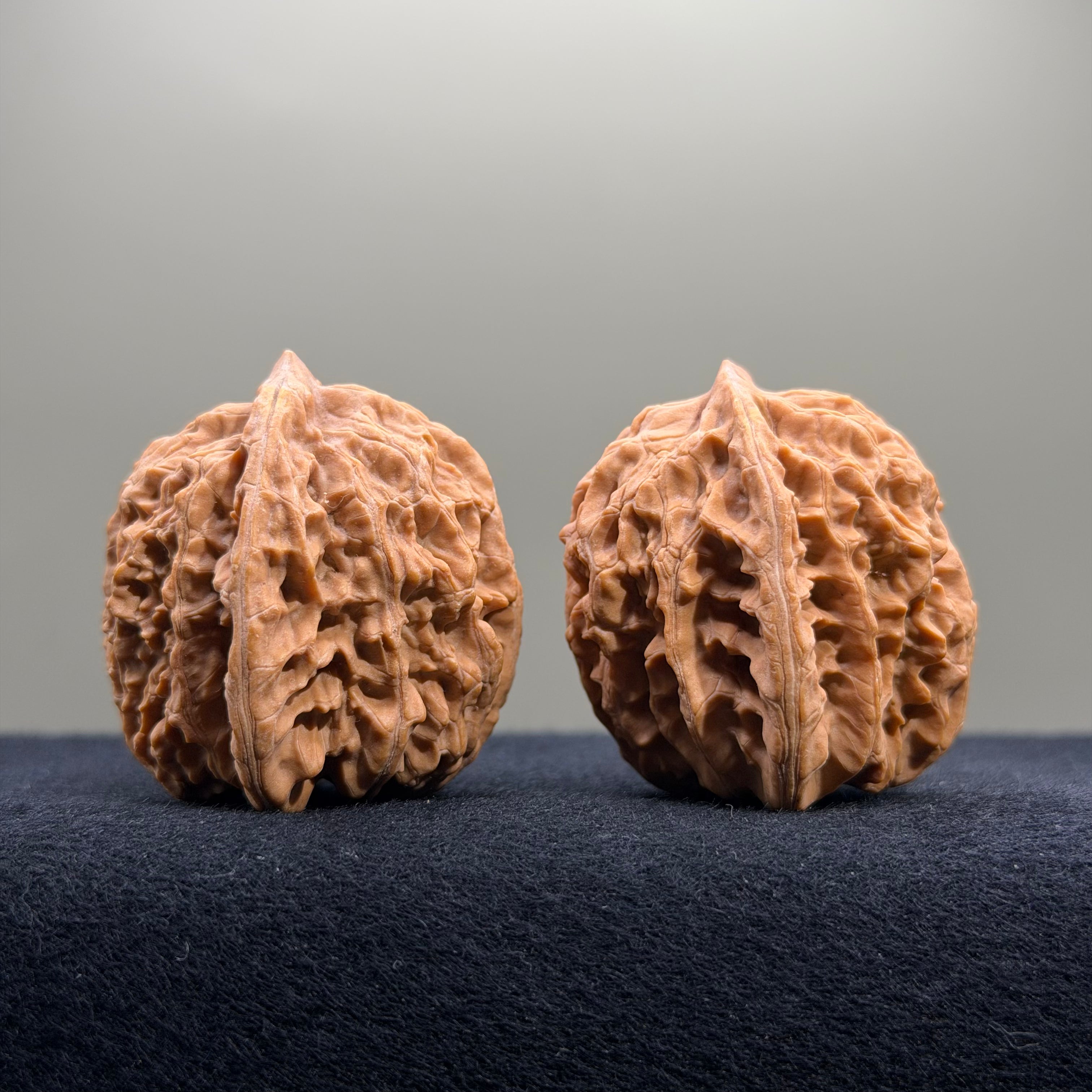 Coiled Dragon Tiger Head Wenwan Walnut · 39mm · Natural · Entry Ritual