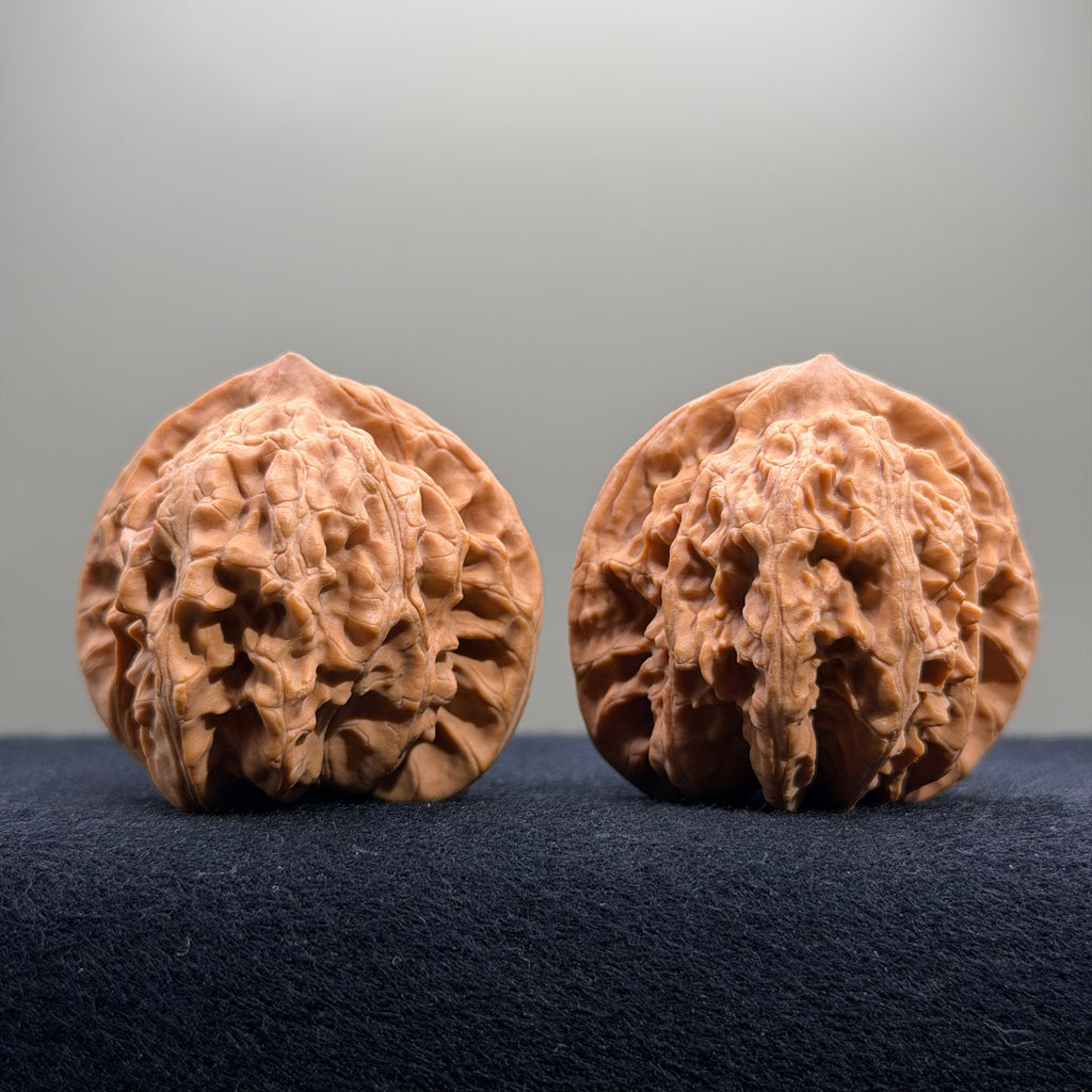 Coiled Dragon Tiger Head Wenwan Walnut · 42mm · Natural · Entry Ritual