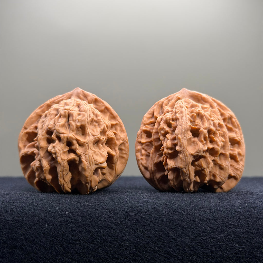 Coiled Dragon Tiger Head Wenwan Walnut · 42mm · Natural · Entry Ritual