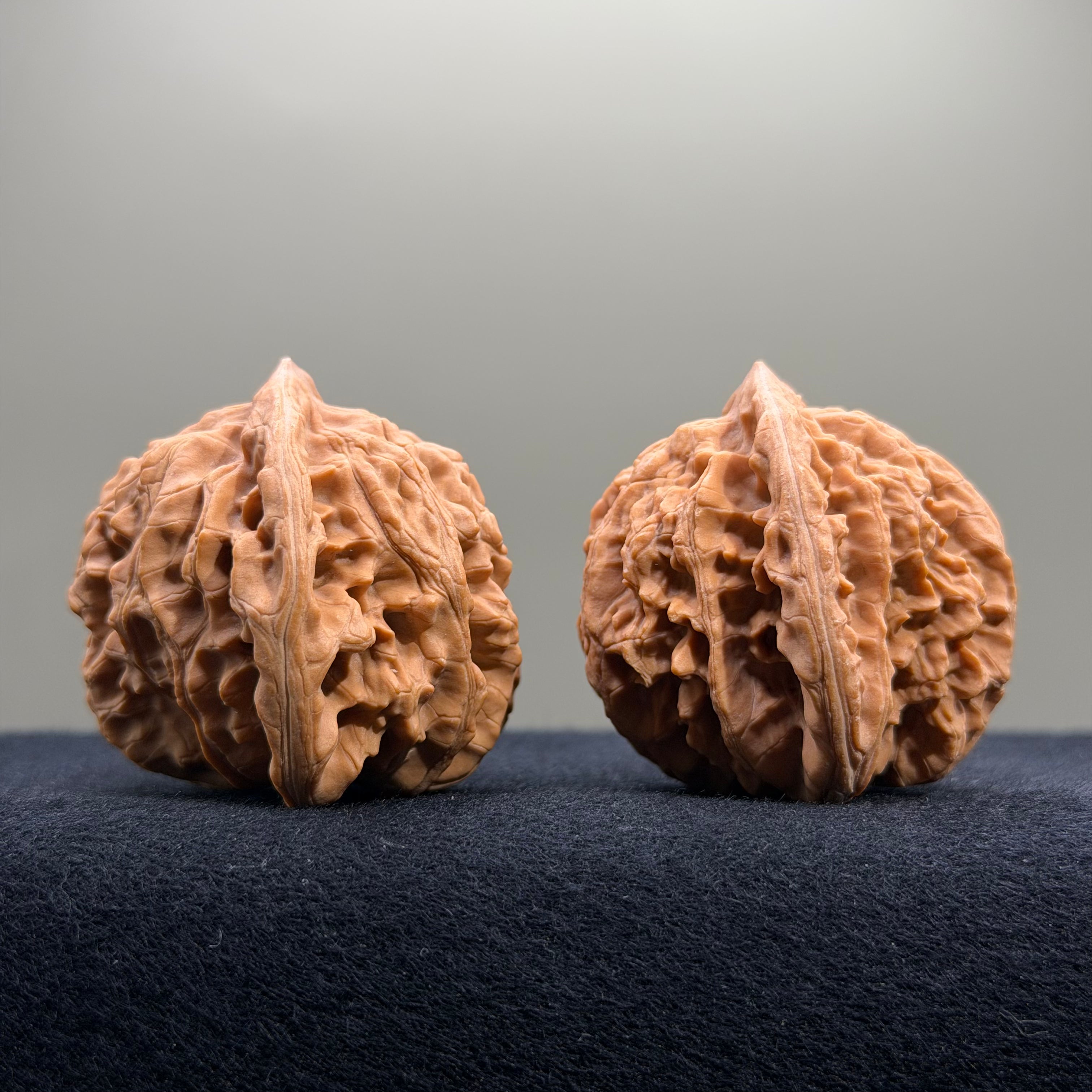 Coiled Dragon Tiger Head Wenwan Walnut · 42mm · Natural · Entry Ritual