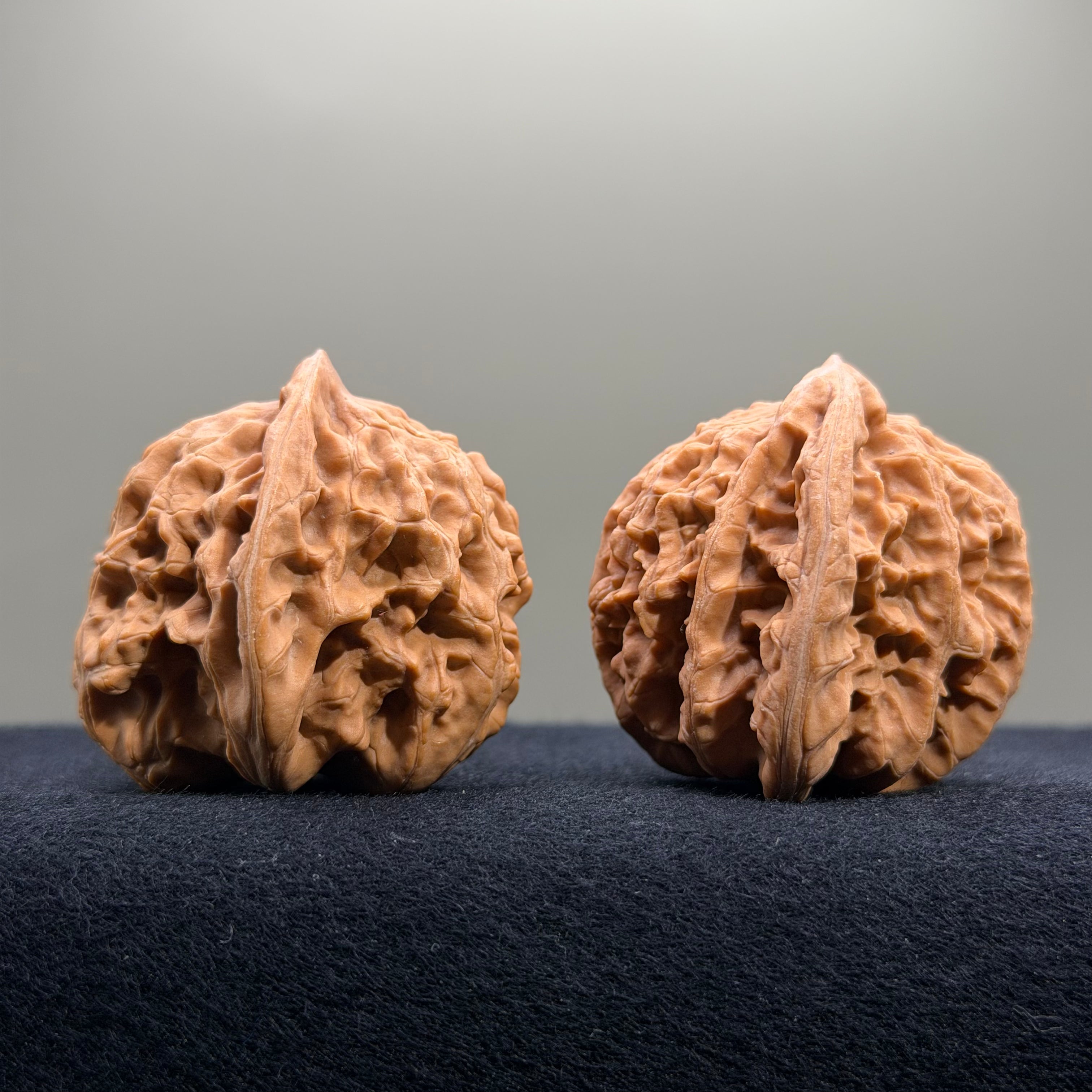 Coiled Dragon Tiger Head Wenwan Walnut · 42mm · Natural · Entry Ritual