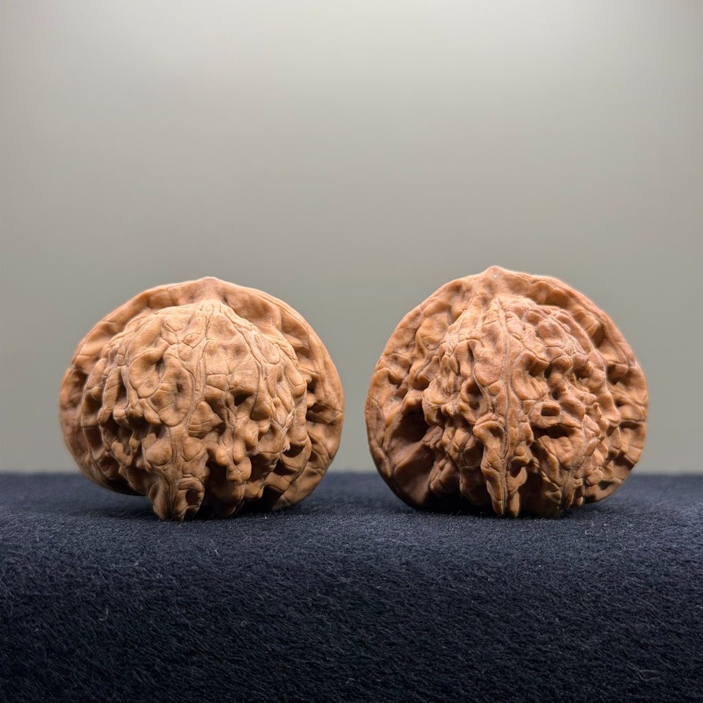 Coiled Dragon Tiger Head Wenwan Walnut · 40mm · Natural · Entry Ritual