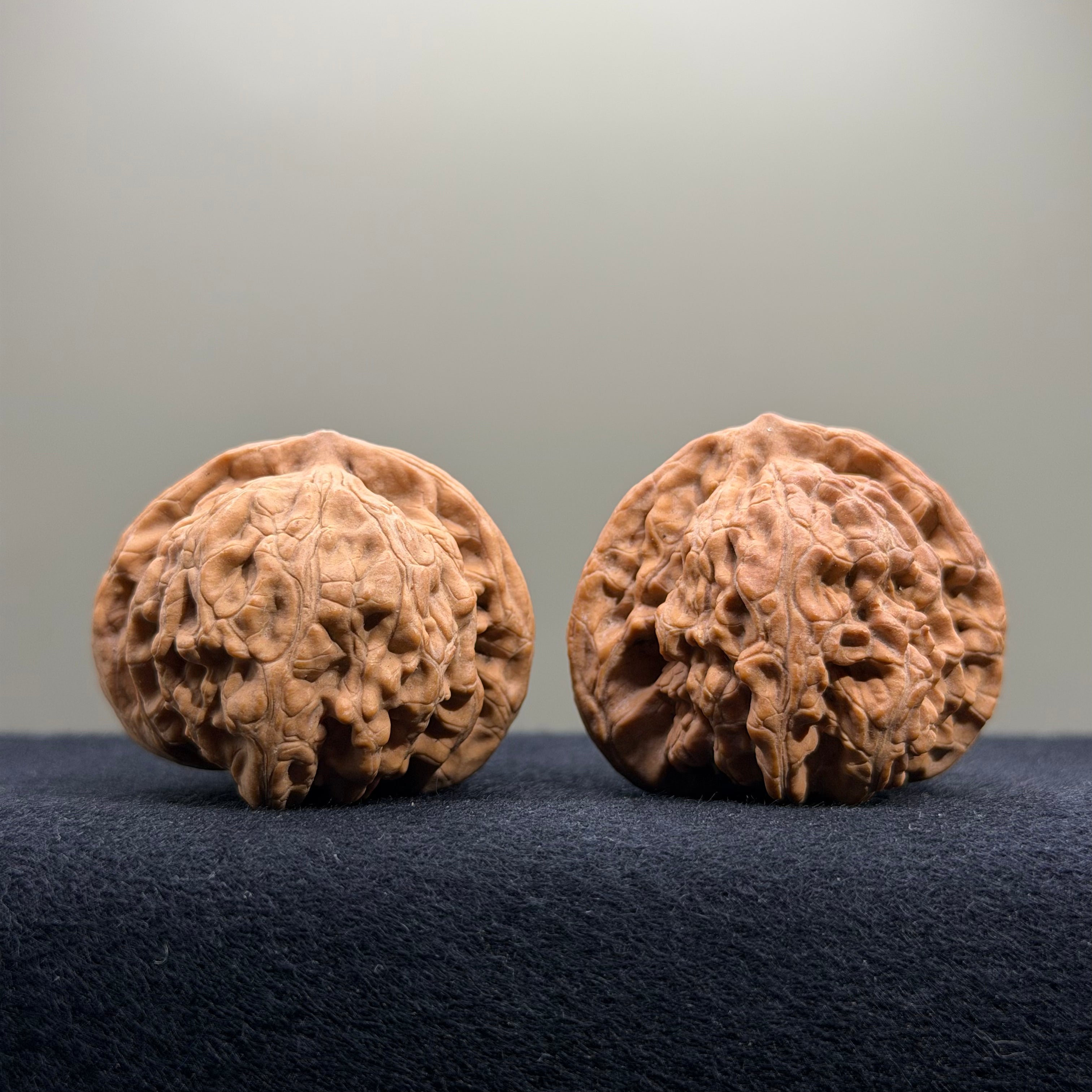 Coiled Dragon Tiger Head Wenwan Walnut · 40mm · Natural · Entry Ritual