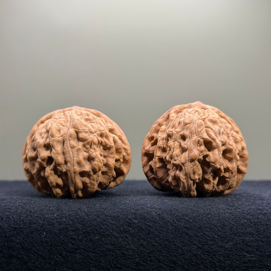 Coiled Dragon Tiger Head Wenwan Walnut · 40mm · Natural · Entry Ritual